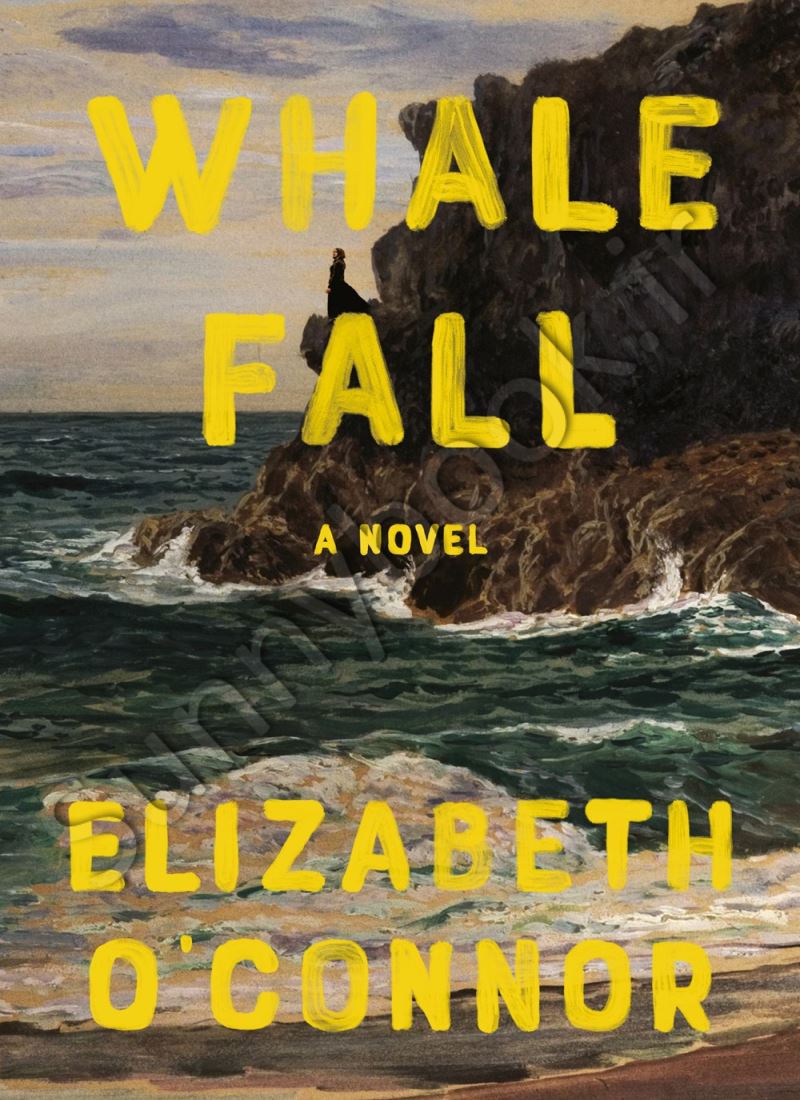 Whale Fall Model.Title