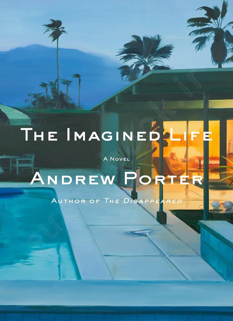 The Imagined Life main 1 1