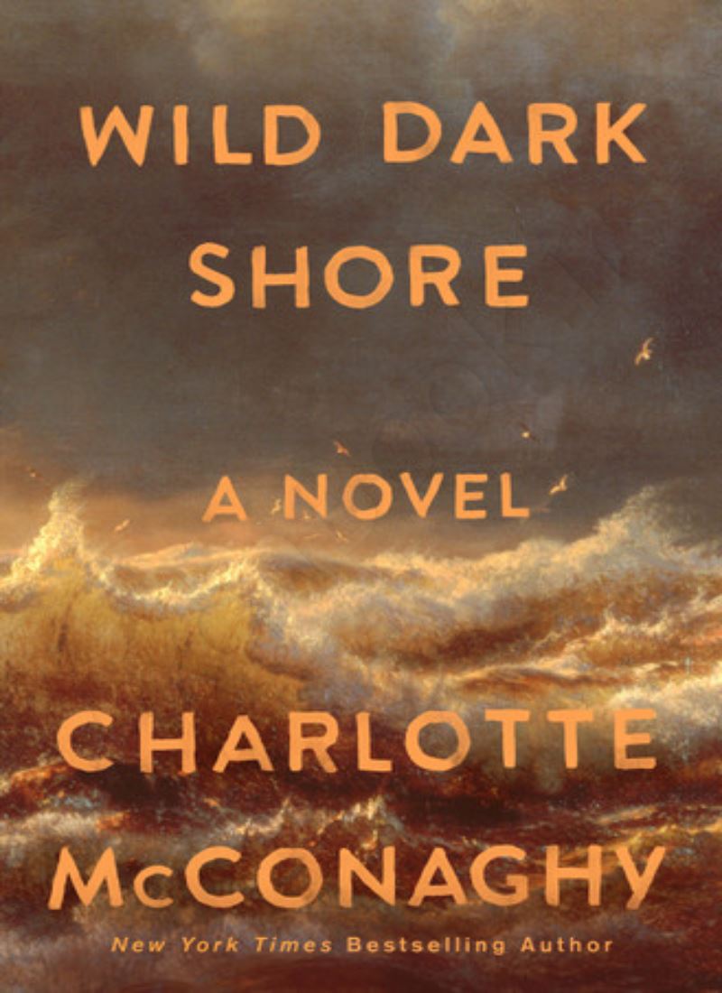 Wild Dark Shore Model.Title
