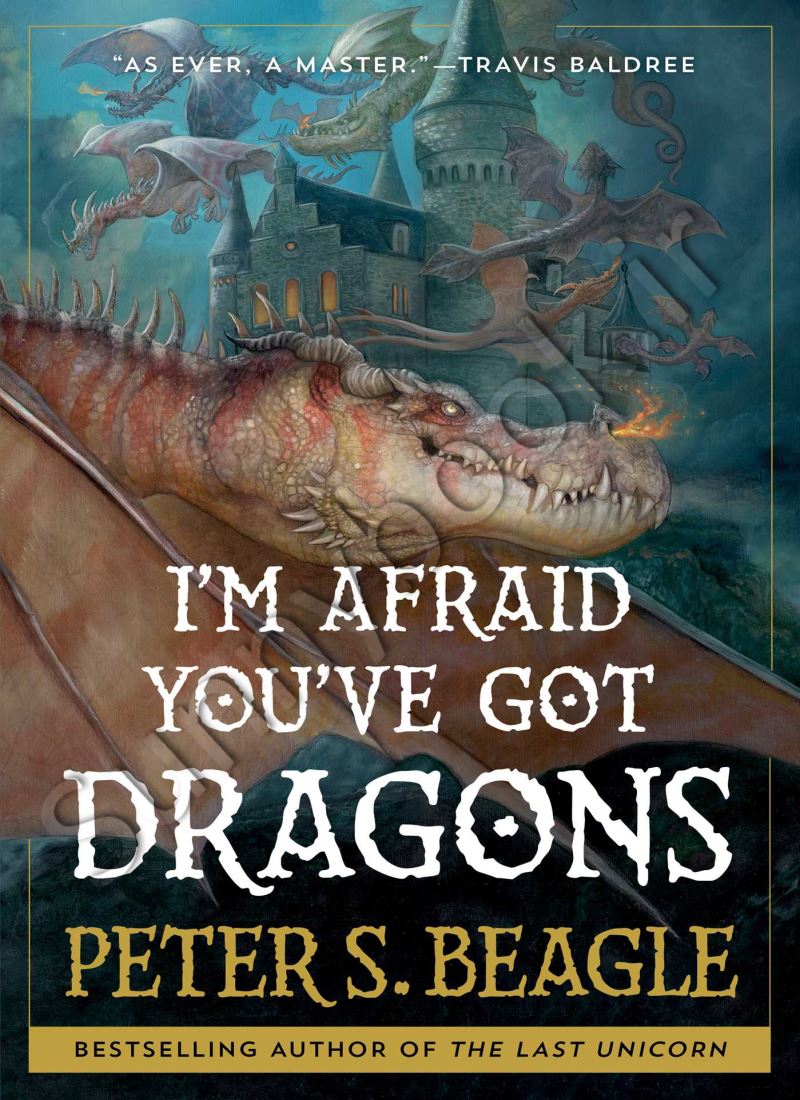 I'm Afraid You've Got Dragons Model.Title