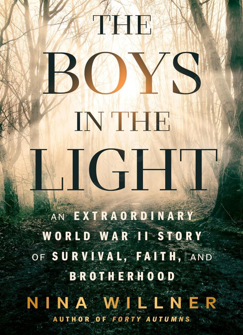 The Boys in the Light main 1 1