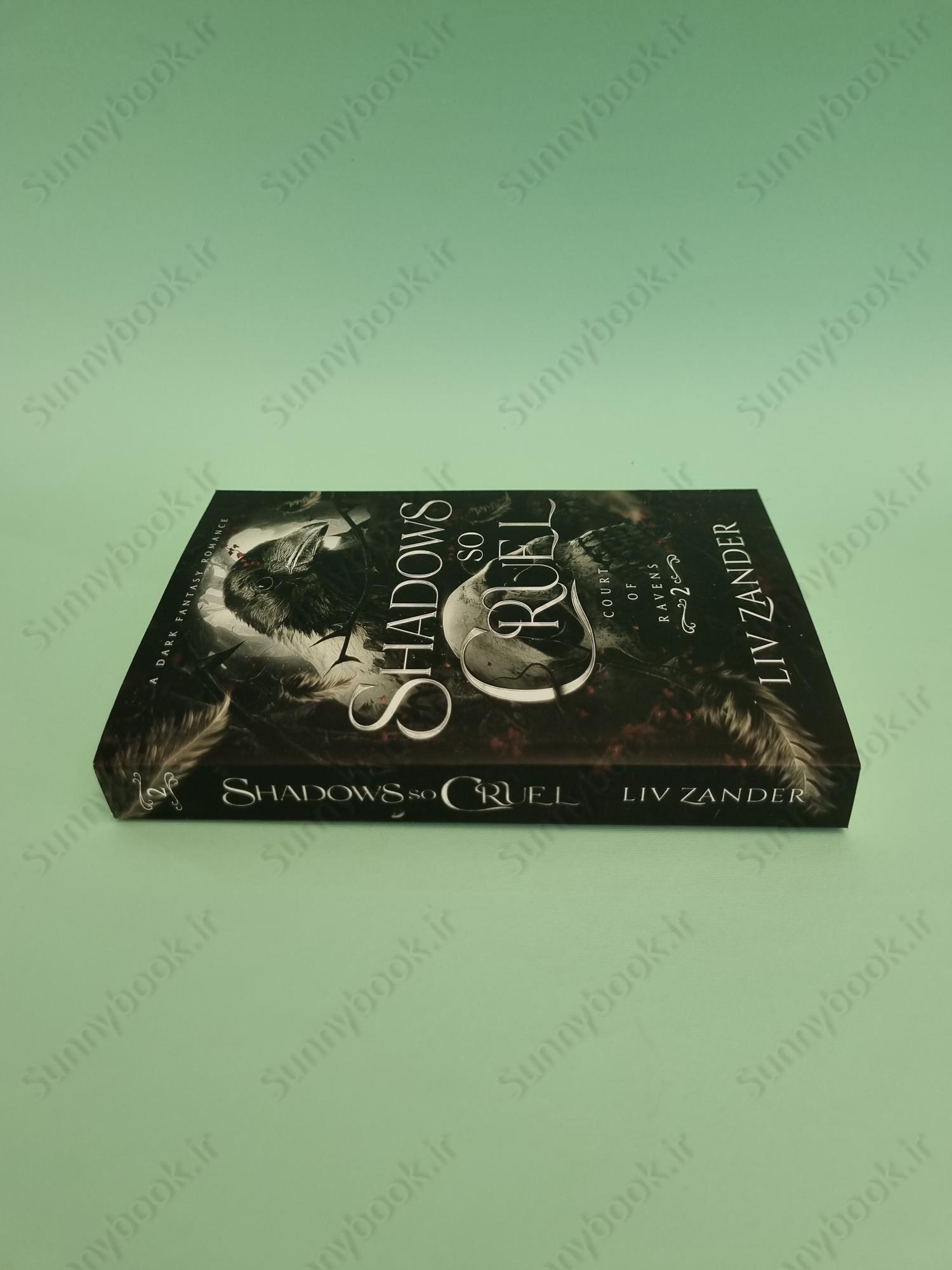 Shadows So Cruel (Court of Ravens 2) main 1 4