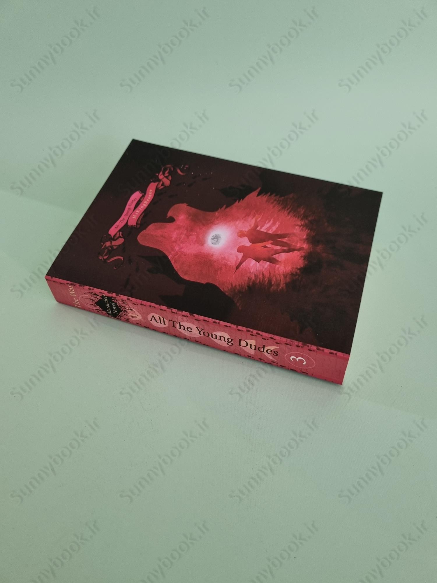 All The Young Dudes - Volume Three: ‘Til the End main 1 3