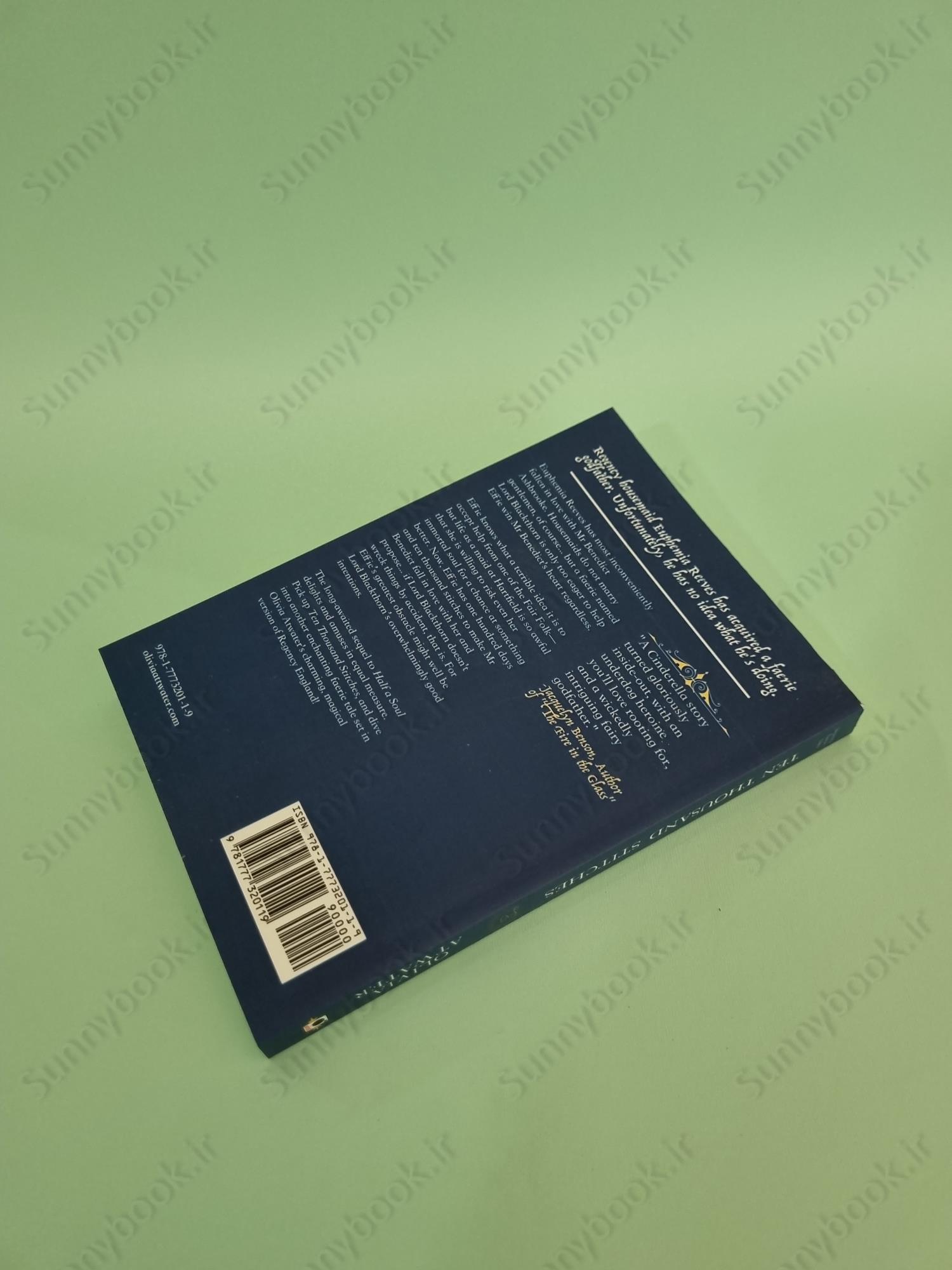 Ten Thousand Stitches (Regency Faerie Tales Book 2) main 1 4