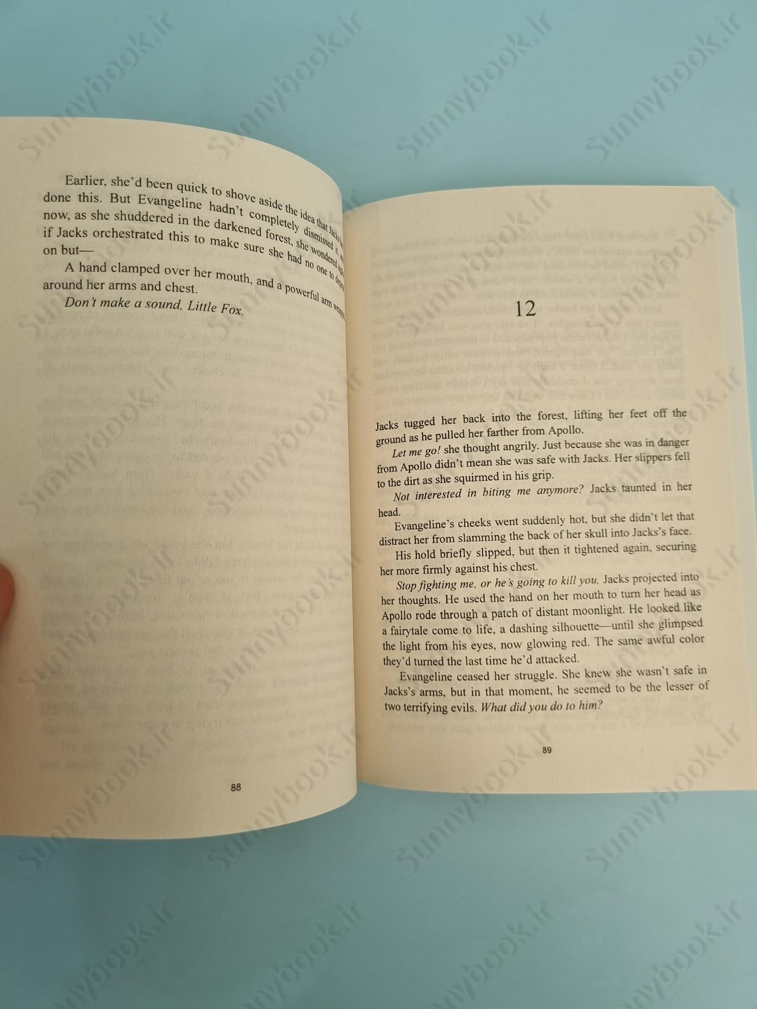 The Ballad of Never After (Once Upon a Broken Heart 2) main 1 6