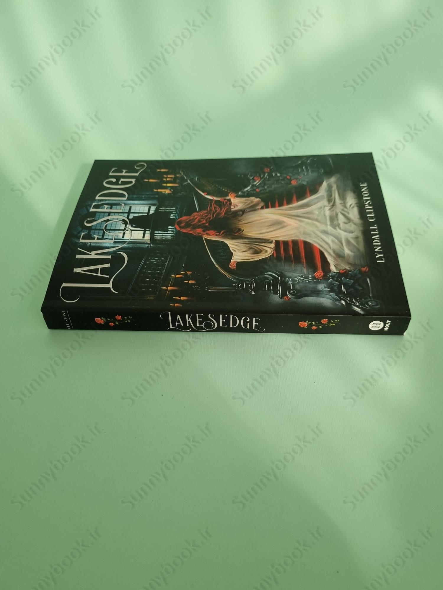 Lakesedge (World at the Lake's Edge 1) main 1 4