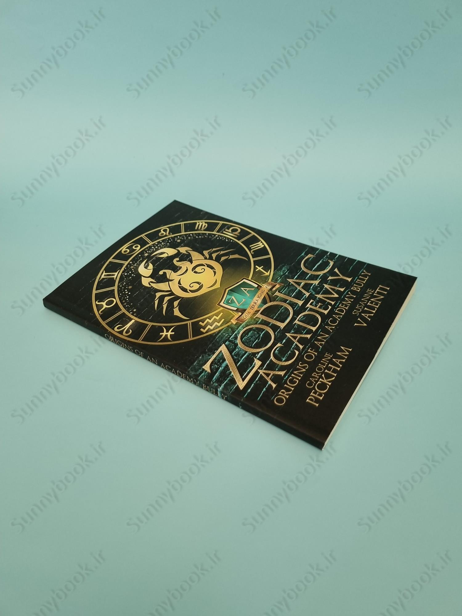 Zodiac Academy 0.5: Origins of an Academy Bully main 1 3