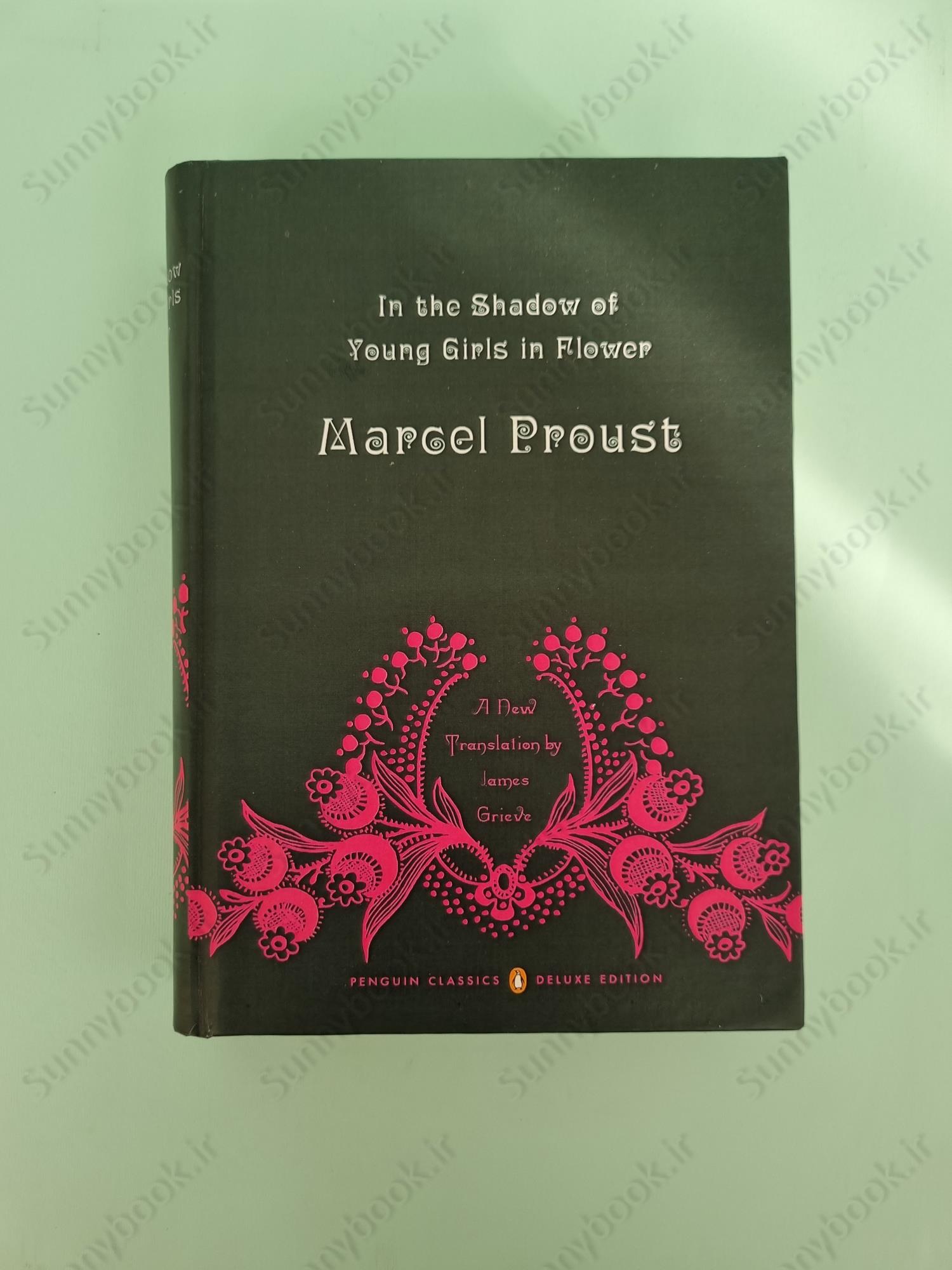 In the Shadow of Young Girls in Flower (In Search of Lost Time Vol 2) main 1 2