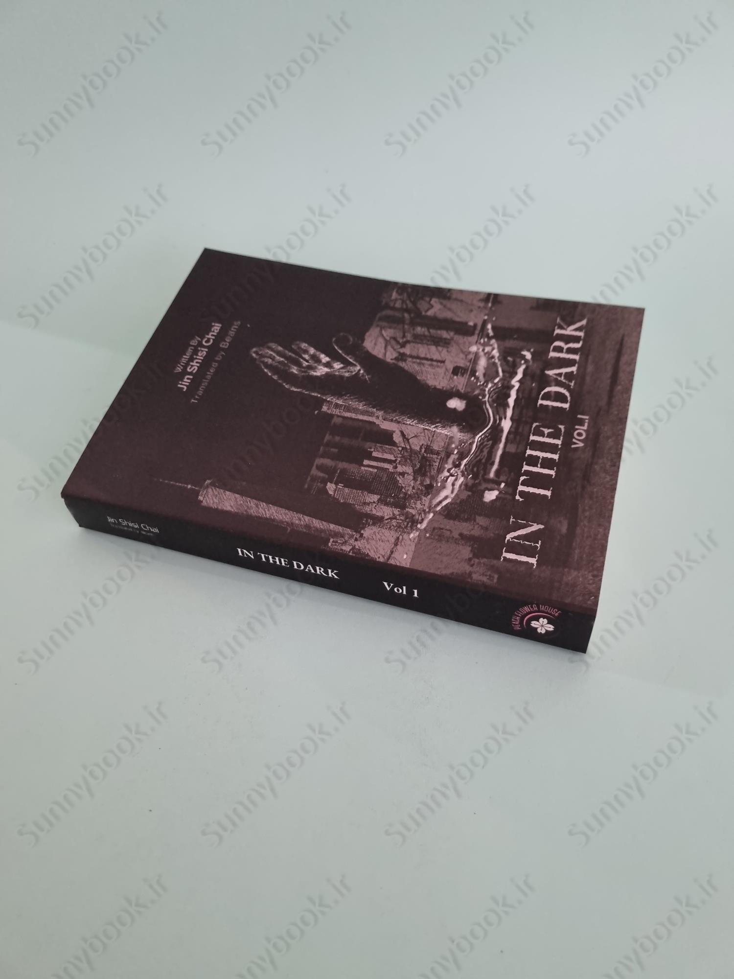 In the Dark Volume 1 main 1 3