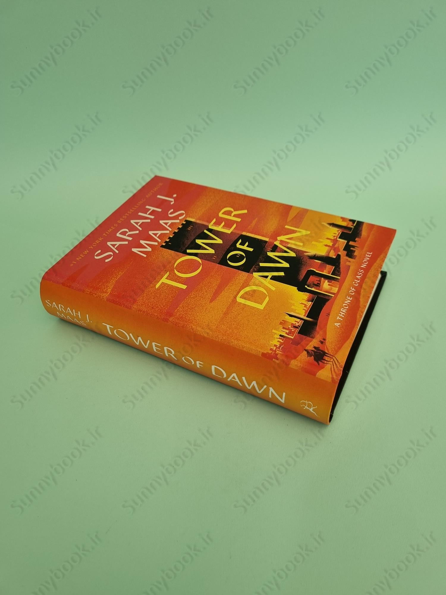 Tower of Dawn (Throne of Glass, 6) main 1 3