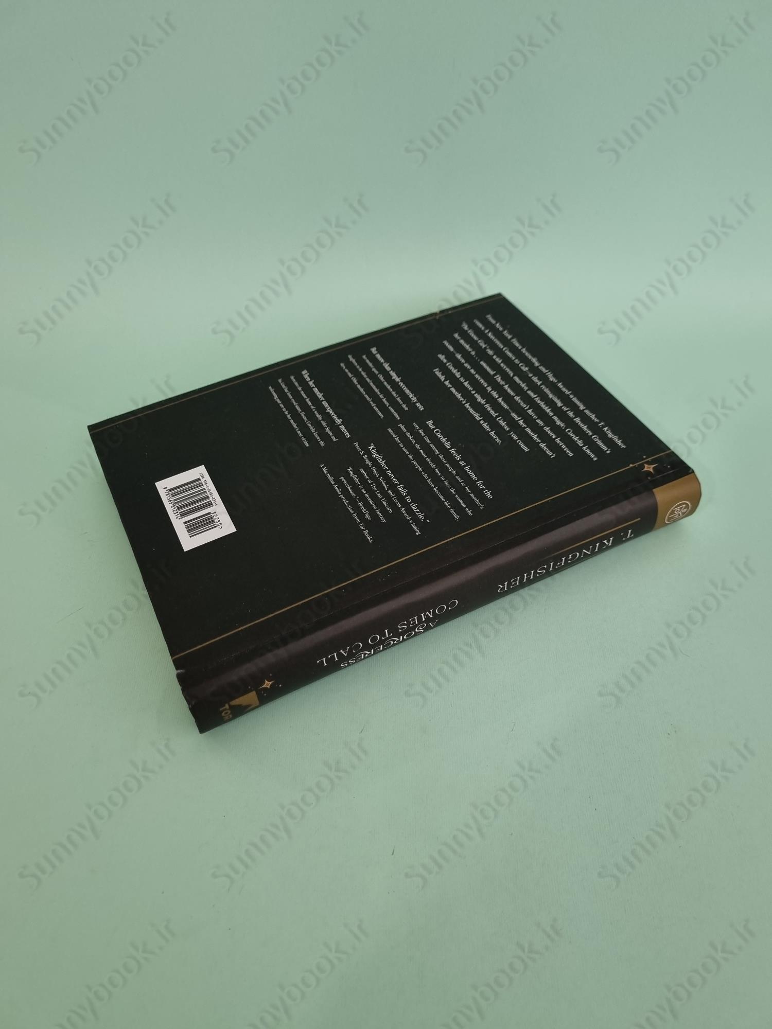 A Sorceress Comes to Call main 1 5