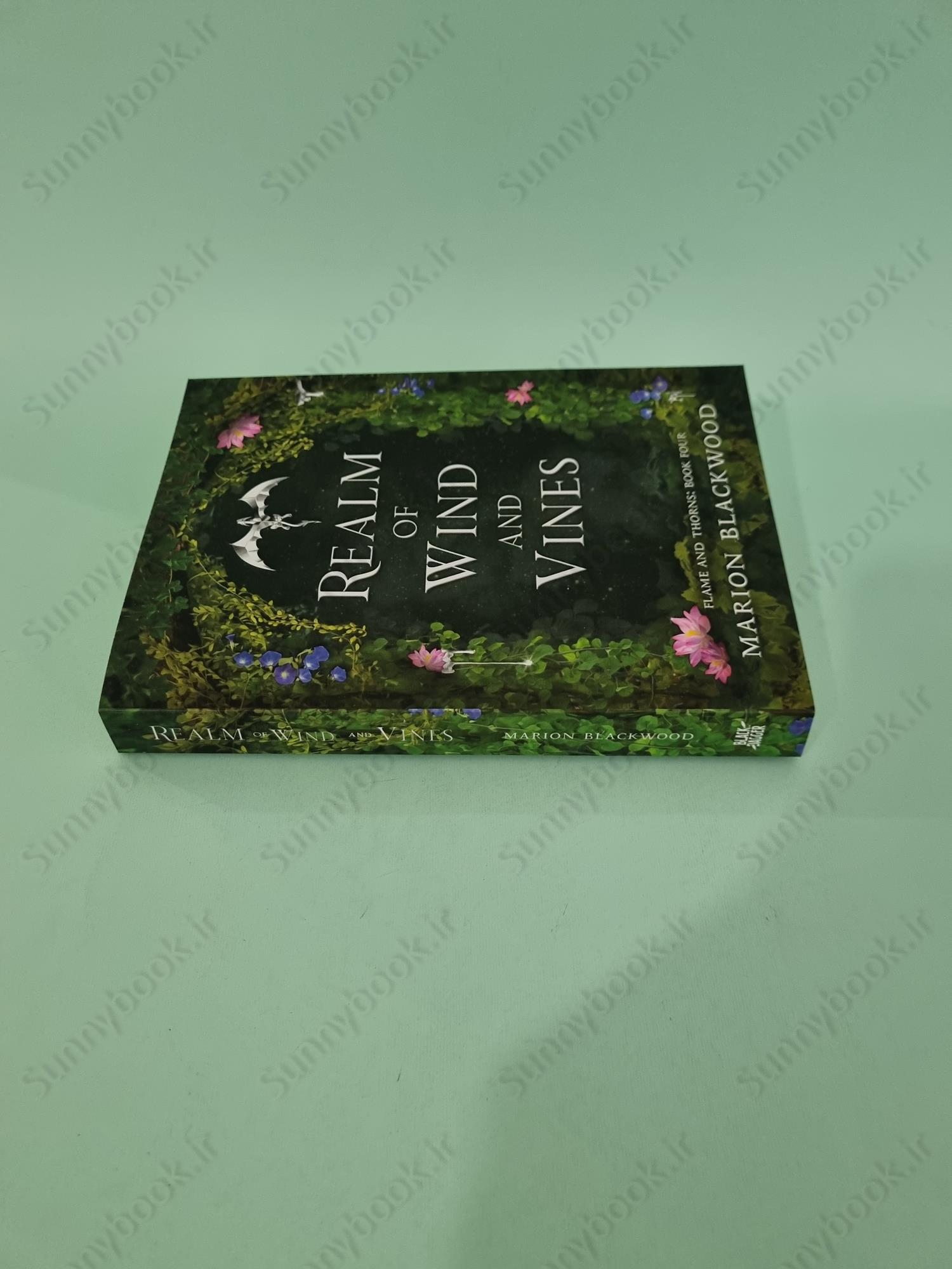 Realm of Wind and Vines (Flame and Thorns Book 4) main 1 3