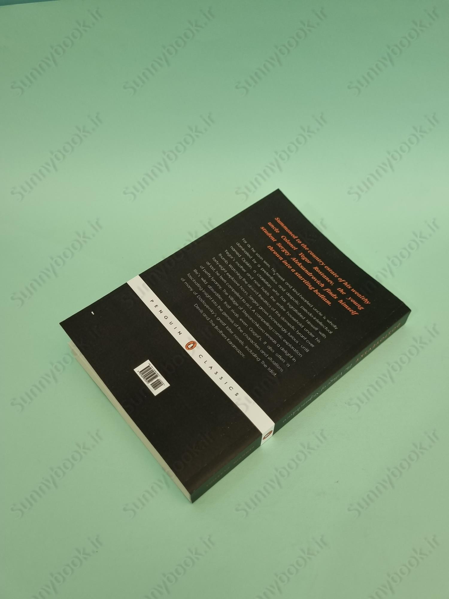 The Village of Stepanchikovo and Its Inhabitants (Avsey trans.) main 1 5