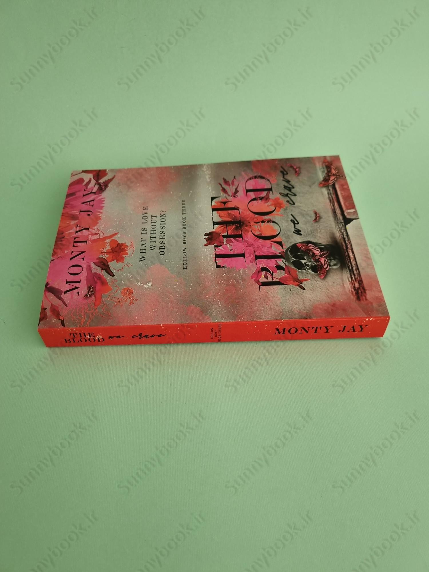 The Blood we Crave (The Hollow Boys Book 3) main 1 4