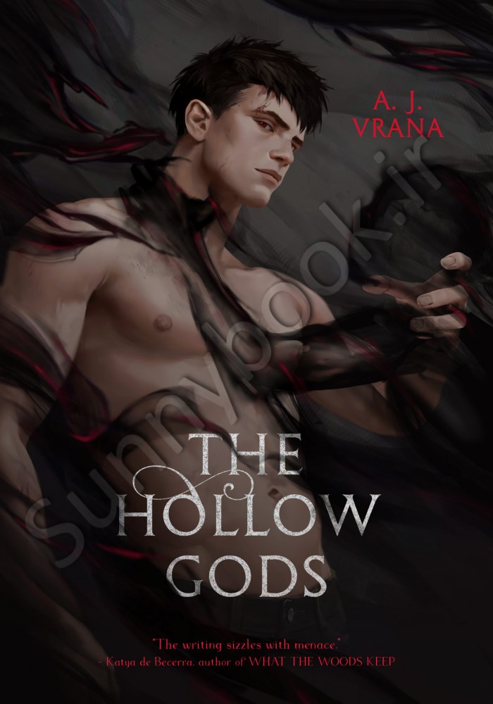 The Hollow Gods (The Chaos Cycle 1) Model.Title