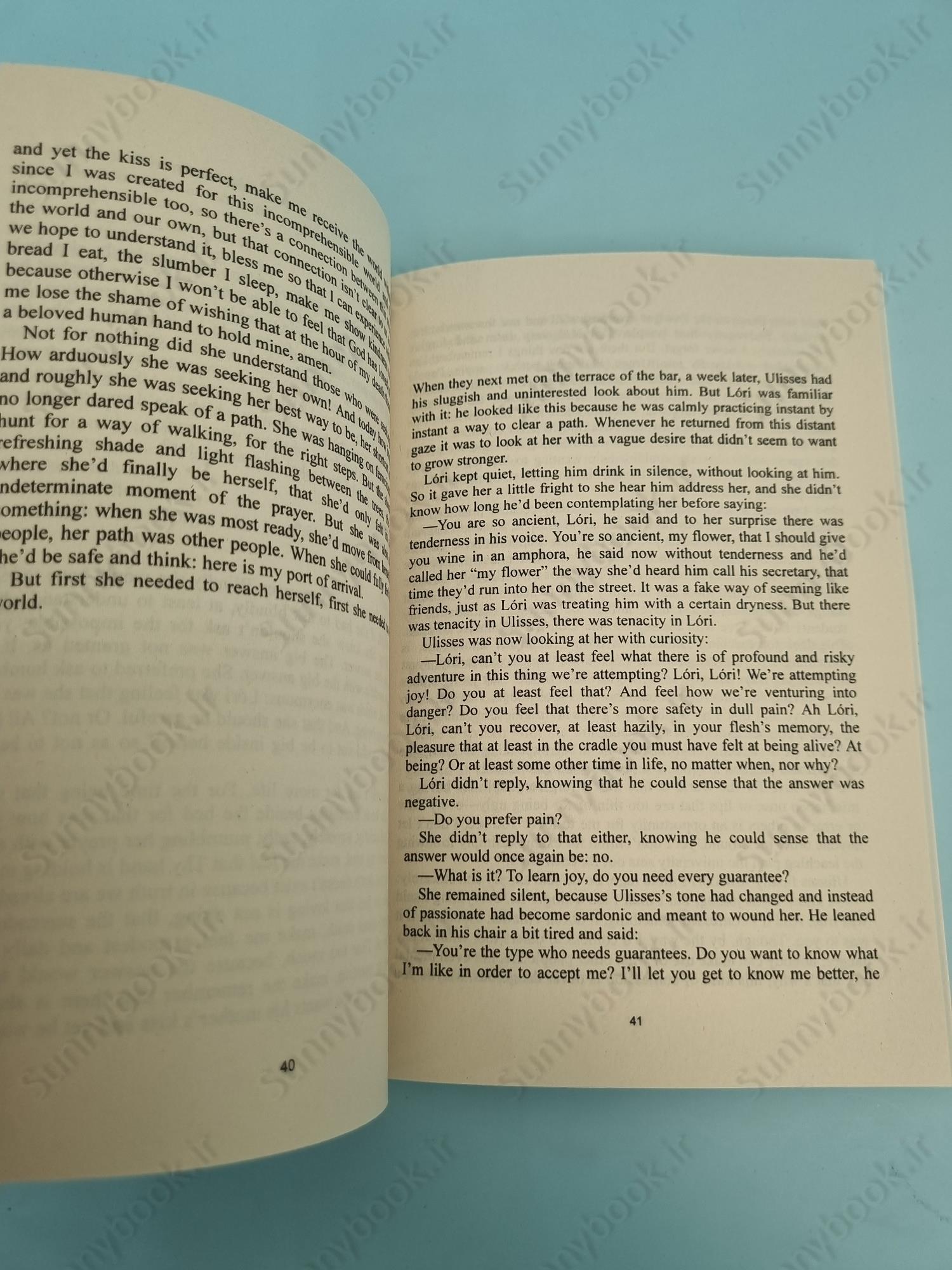 An Apprenticeship or The Book of Pleasures main 1 6