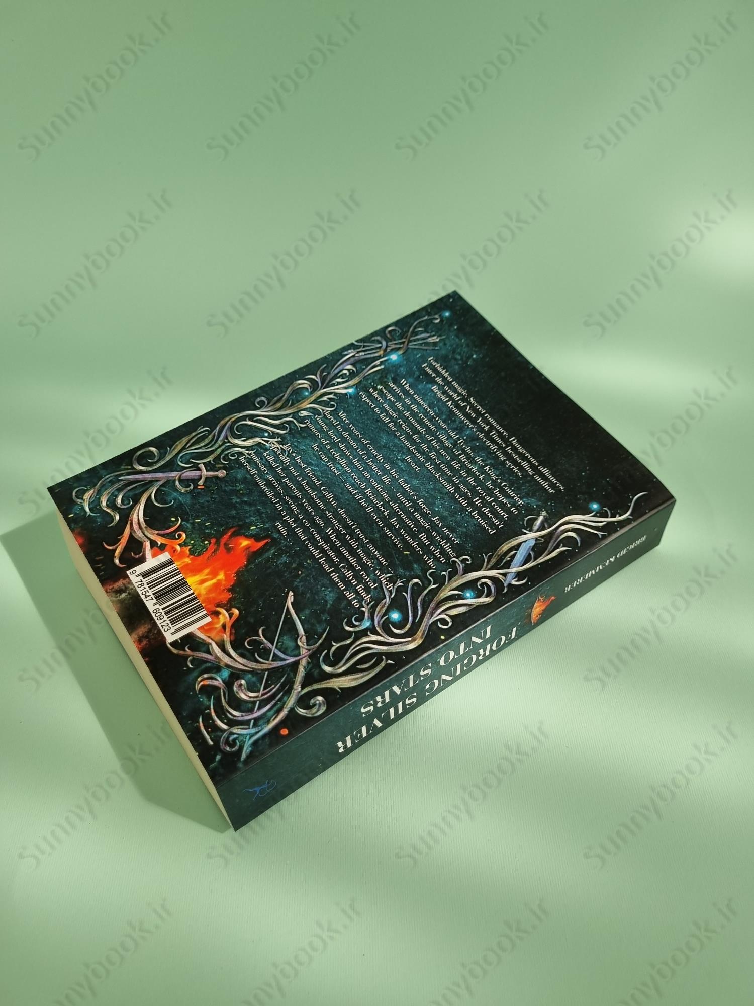 Forging Silver into Stars (Forging Silver into Stars 1) main 1 4