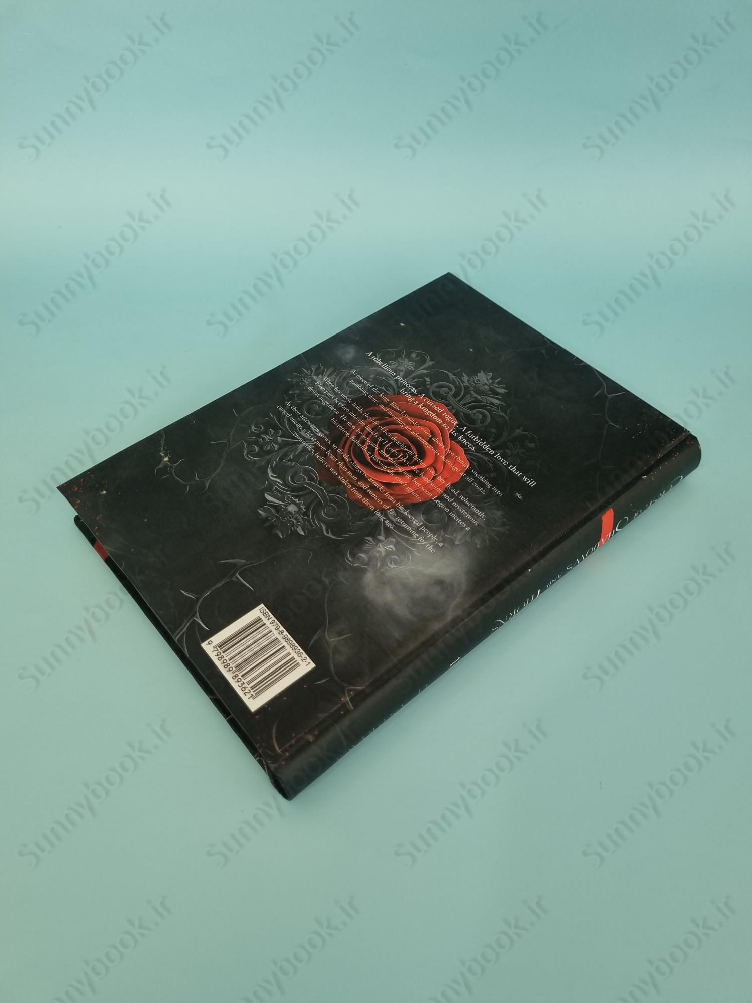 Curse of Shadows and Thorns (The Broken Kingdoms 1) main 1 4