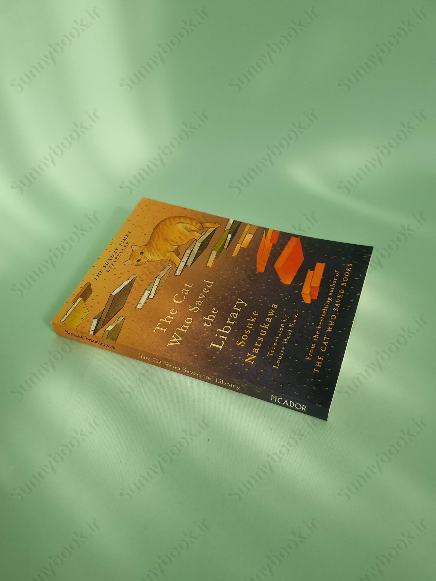 The Cat Who Saved the Library main 1 3