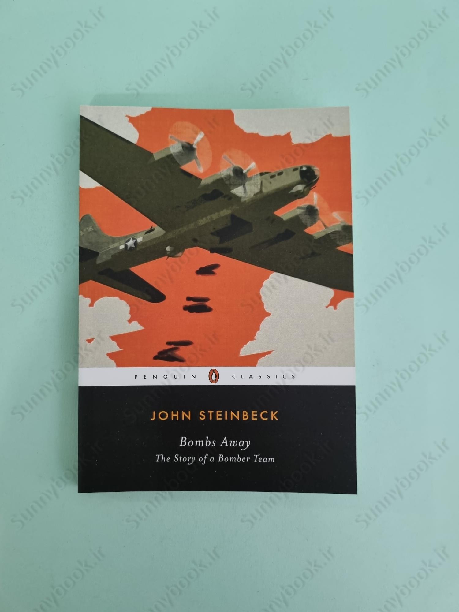 Bombs Away: The Story of a Bomber Team main 1 2