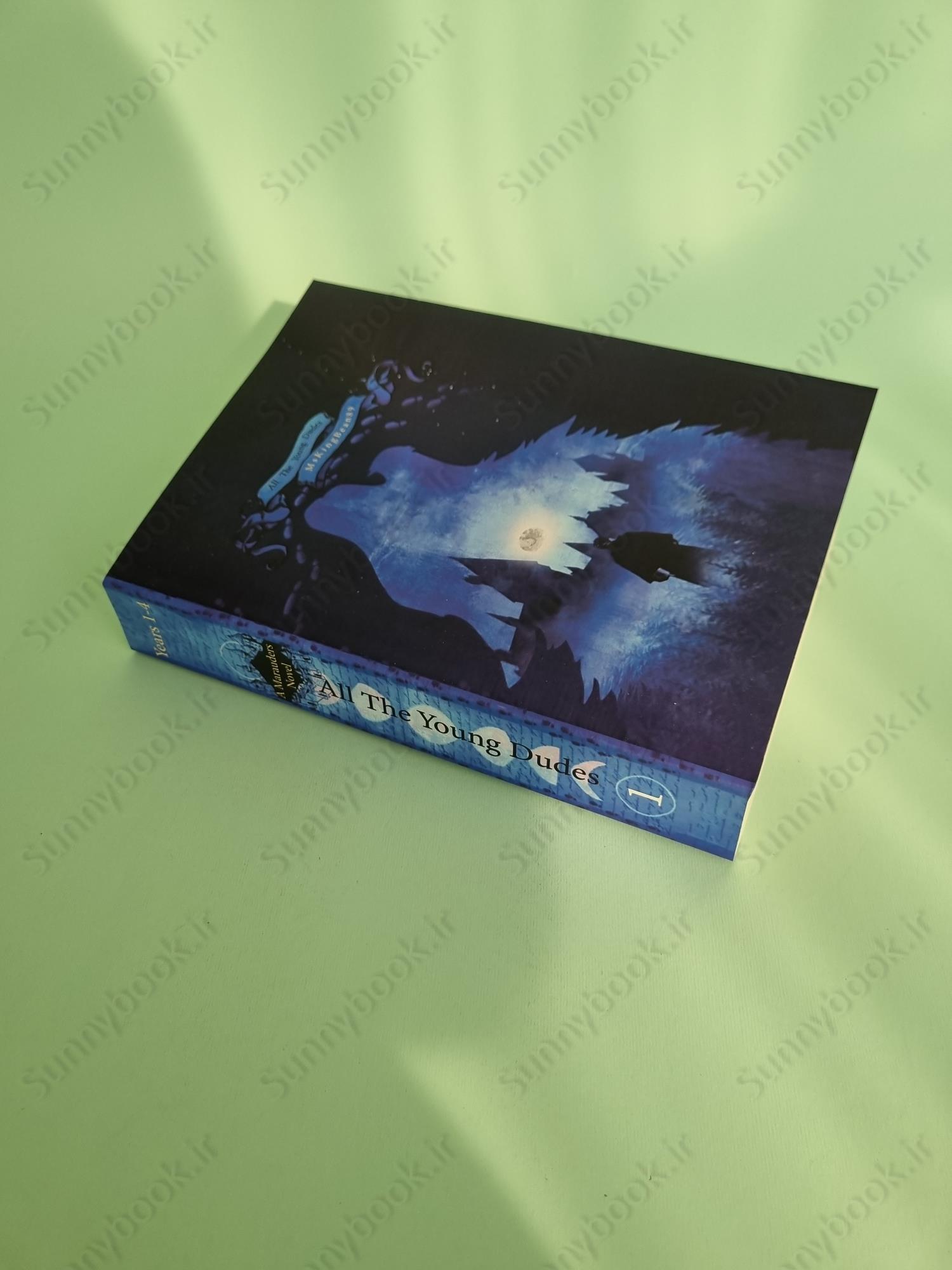 All The Young Dudes - Volume One: Years 1 - 4 main 1 3