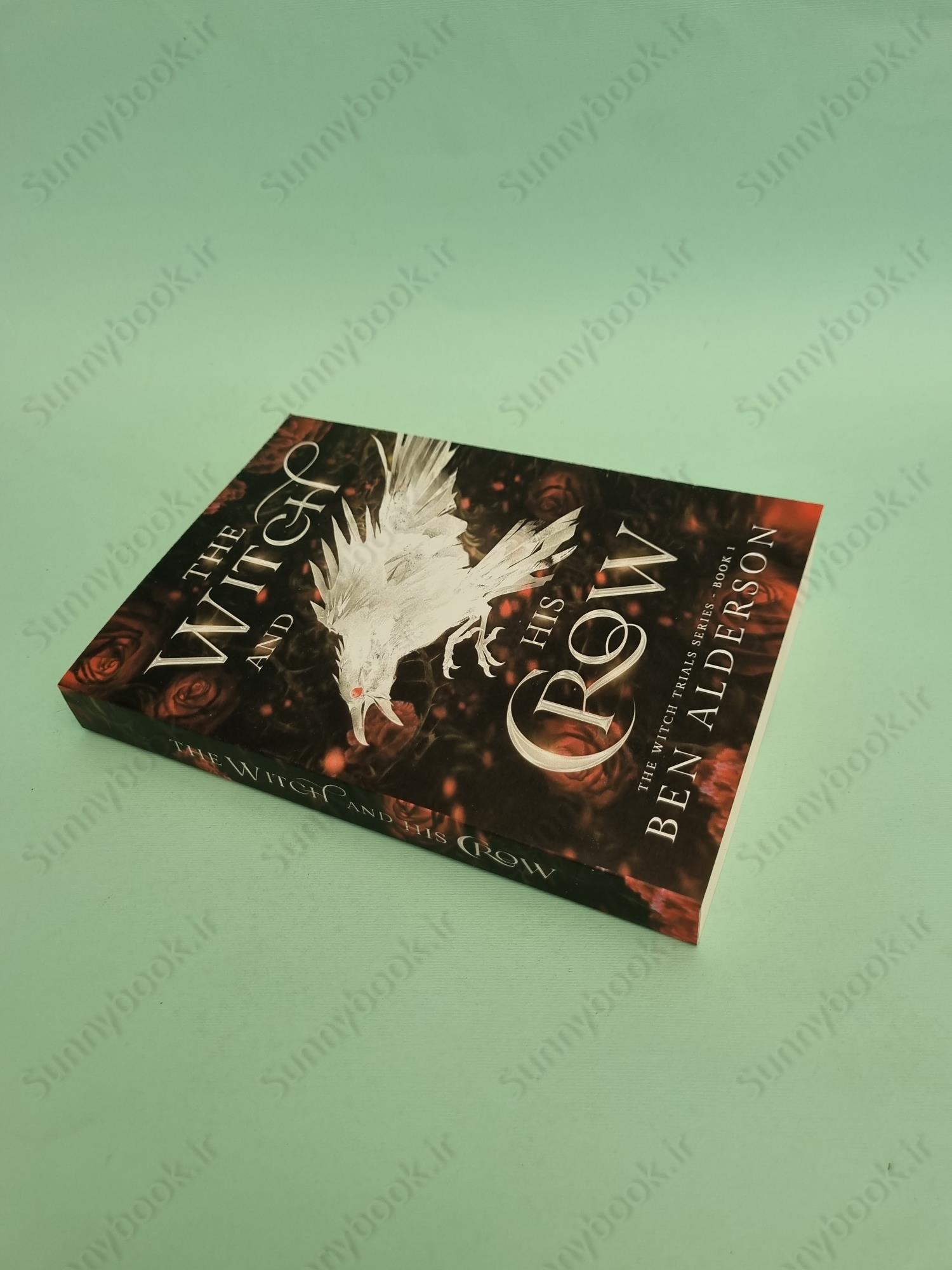 The Witch and His Crow main 1 3