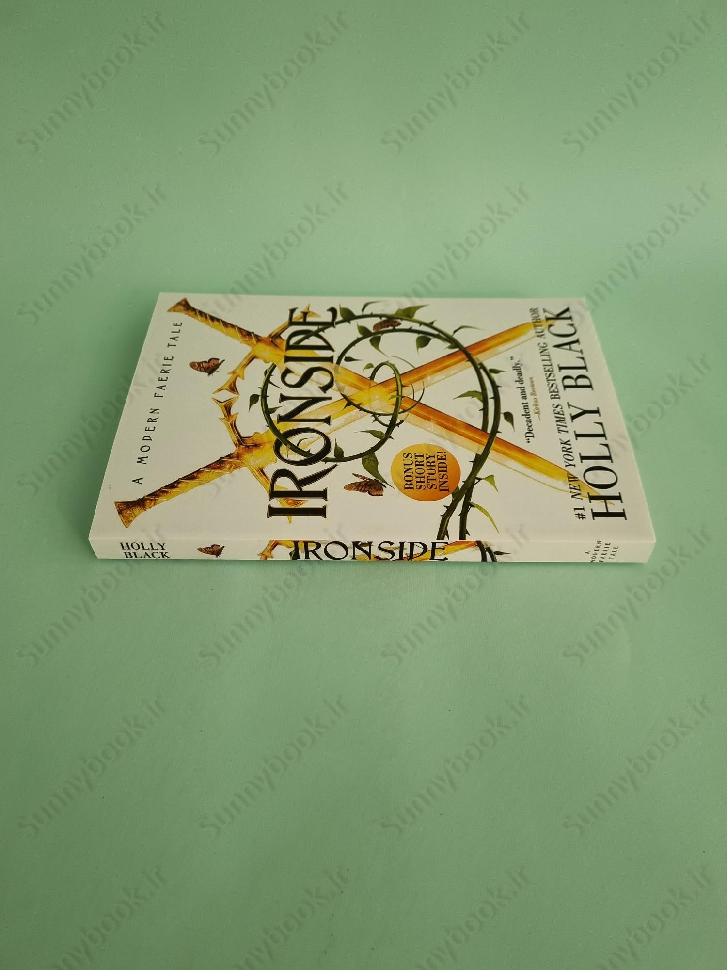 Ironside (Modern Faerie Tales 3) main 1 4