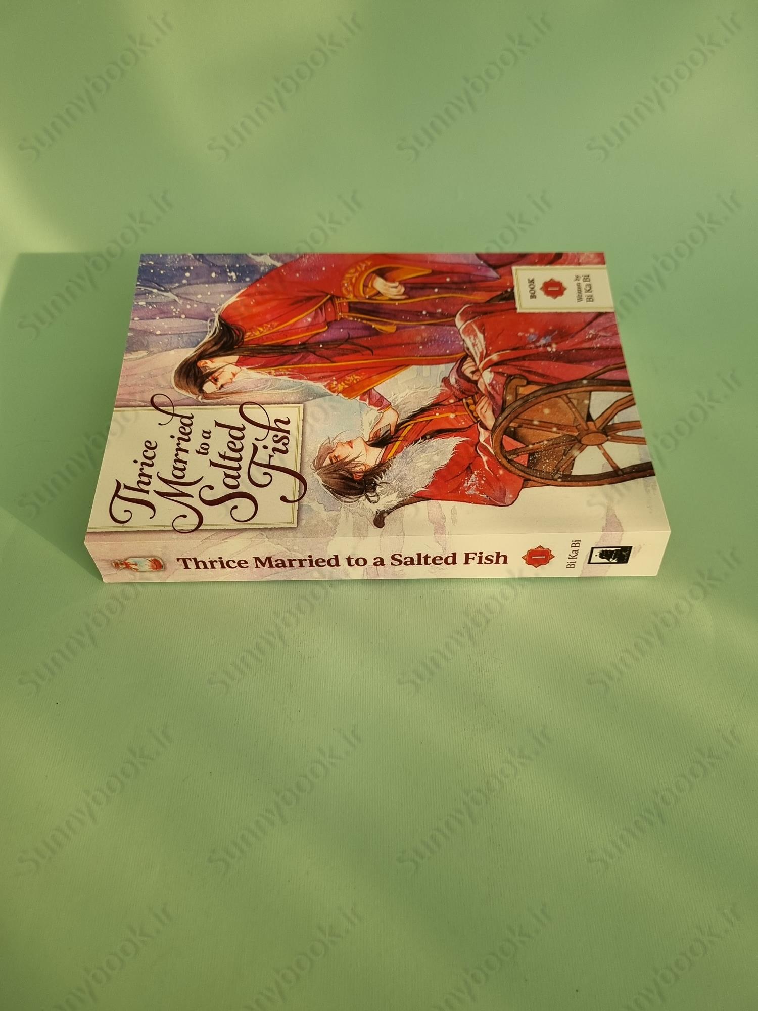 Thrice Married to a Salted Fish Vol. 1 main 1 4