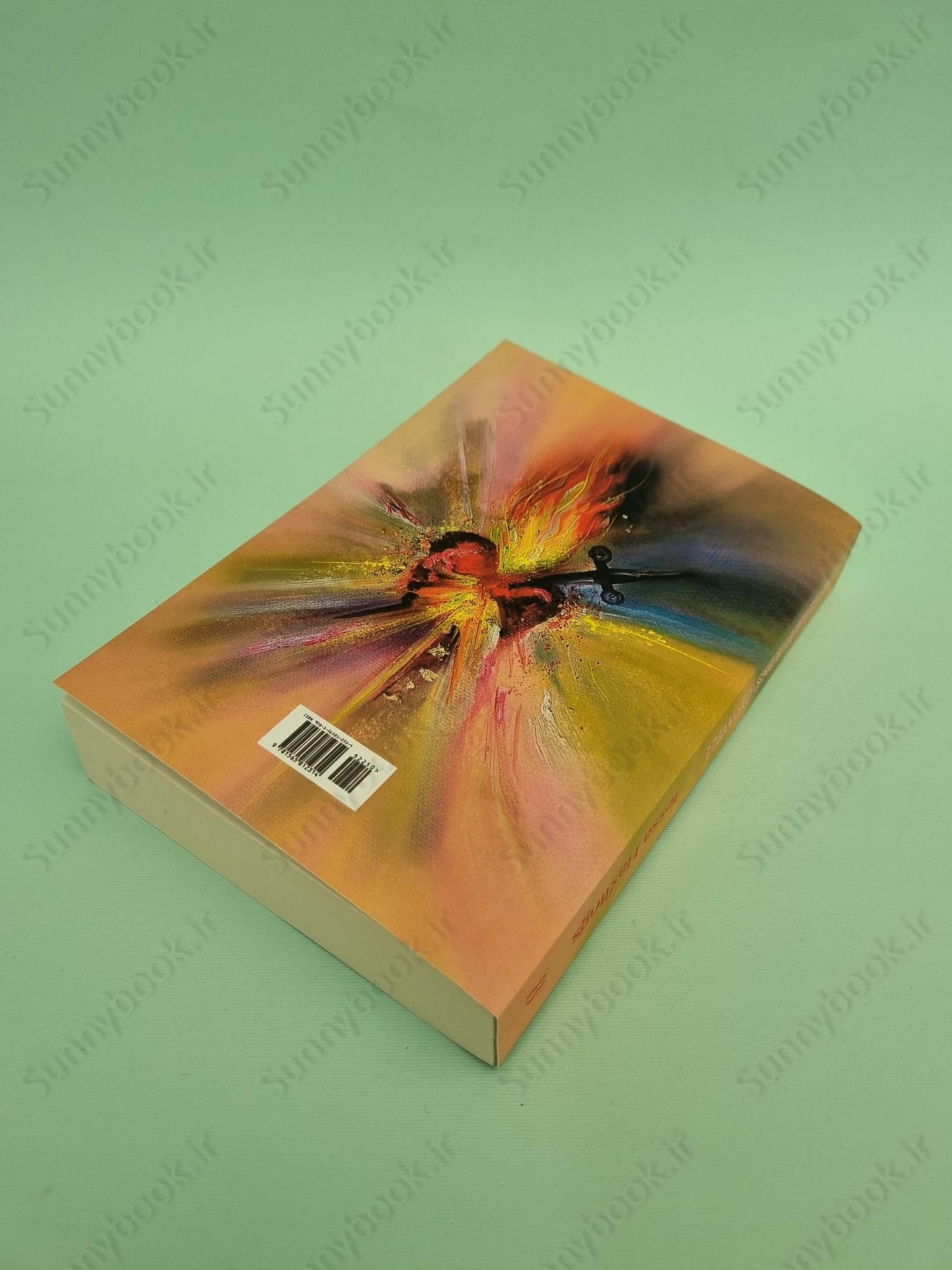 The Conditions of Will main 1 4