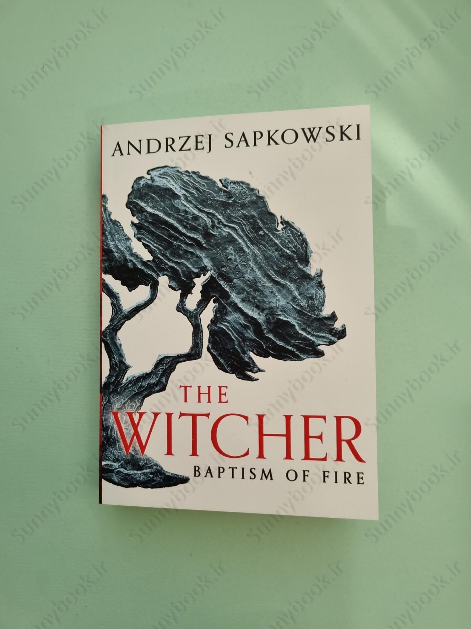 Baptism of Fire (The Witcher, 5) main 1 2