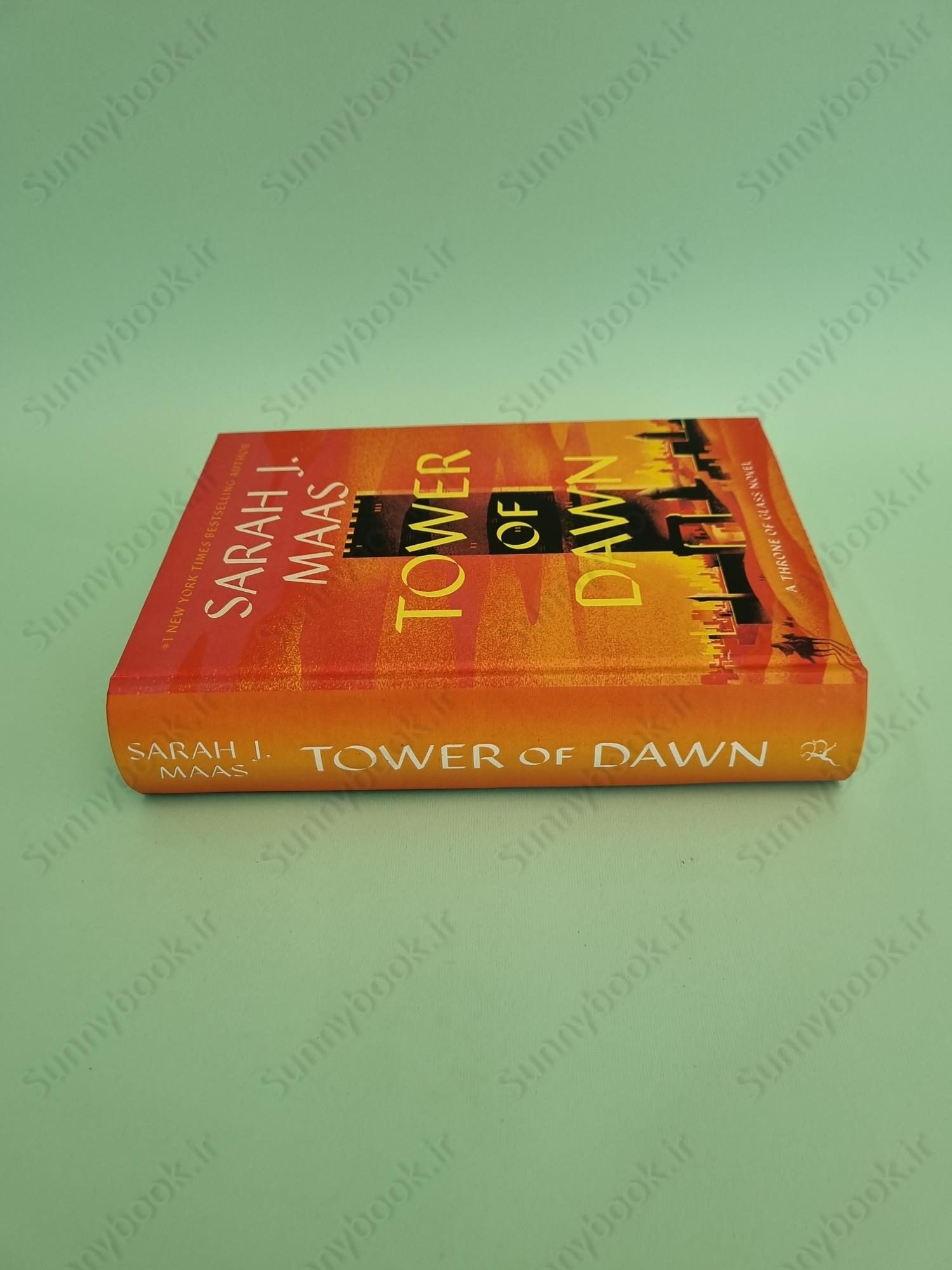 Tower of Dawn (Throne of Glass, 6) main 1 4
