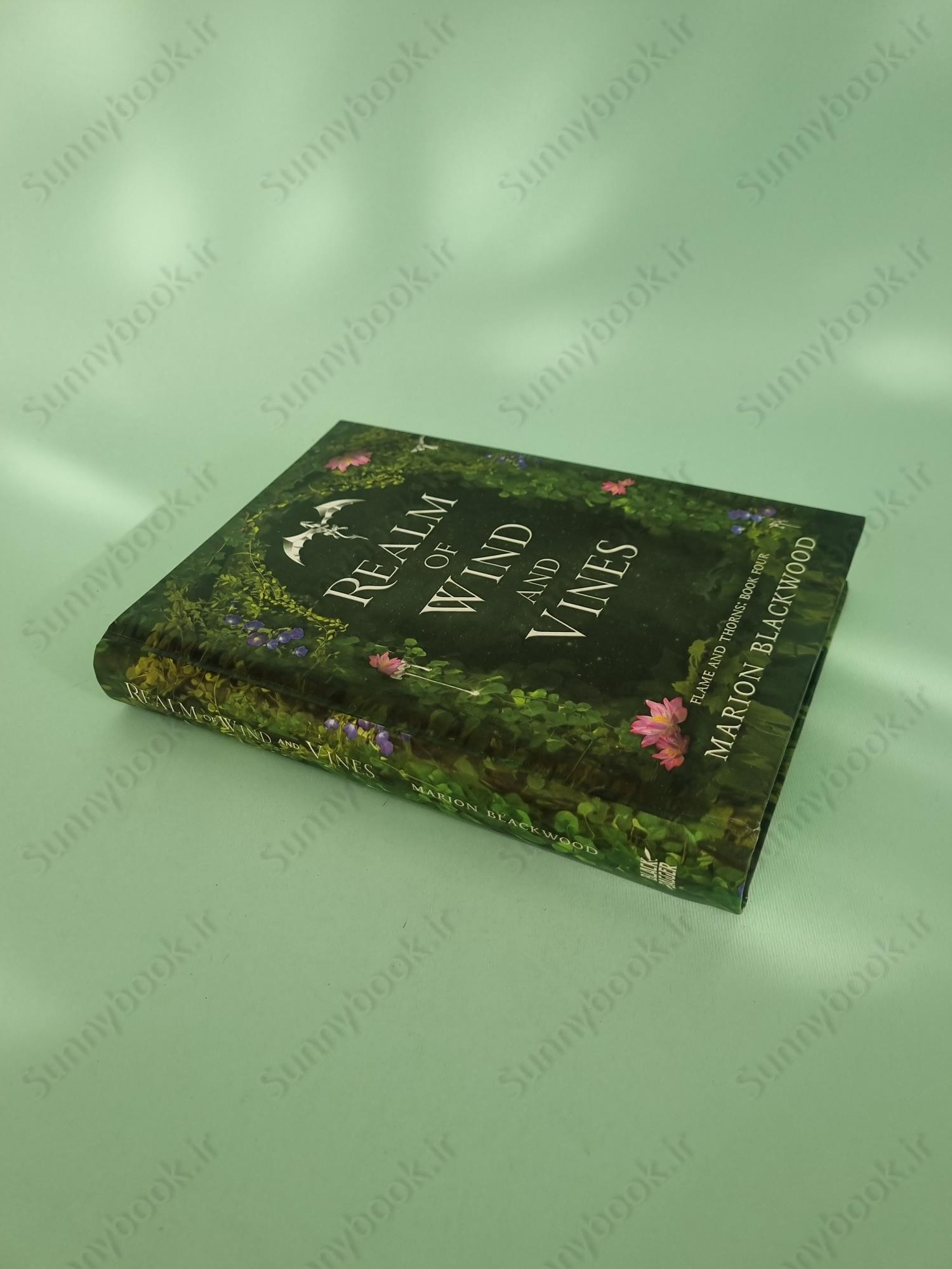 Realm of Wind and Vines (Flame and Thorns Book 4) main 1 3