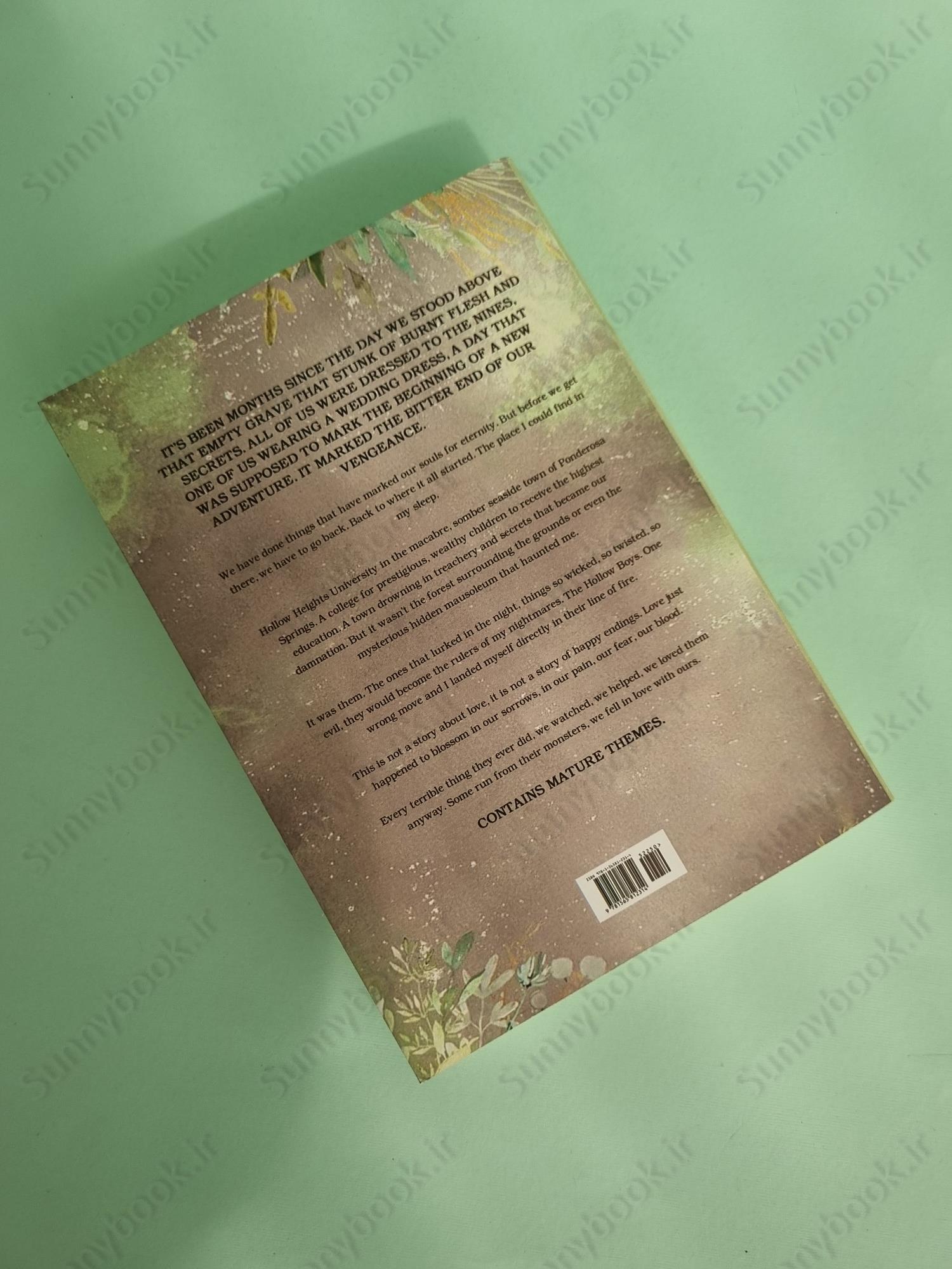 The Lies we Steal (The Hollow Boys Book 1) main 1 4