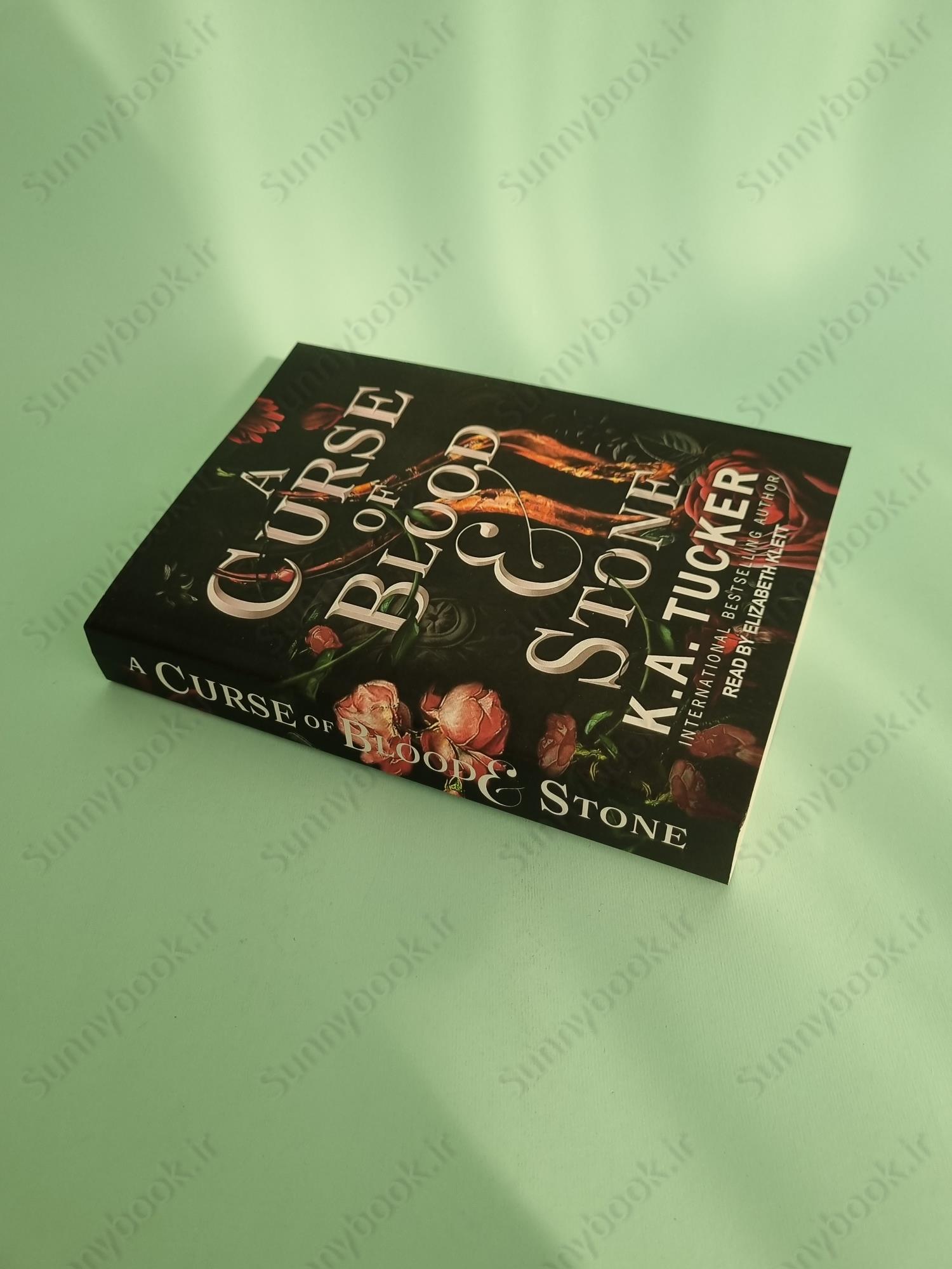 A Curse of Blood & Stone (Fate & Flame 2) main 1 3