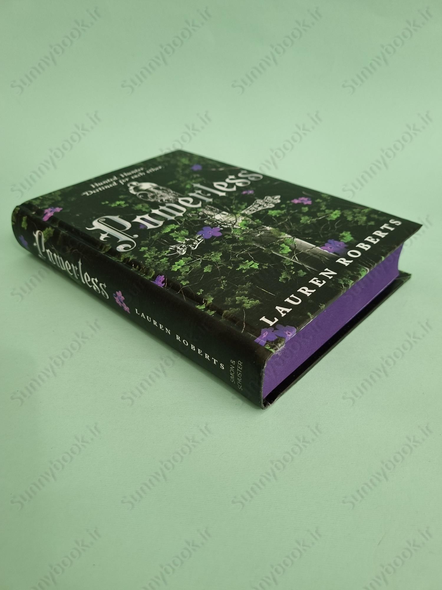 Powerless (The Powerless Trilogy Book 1) main 1 5