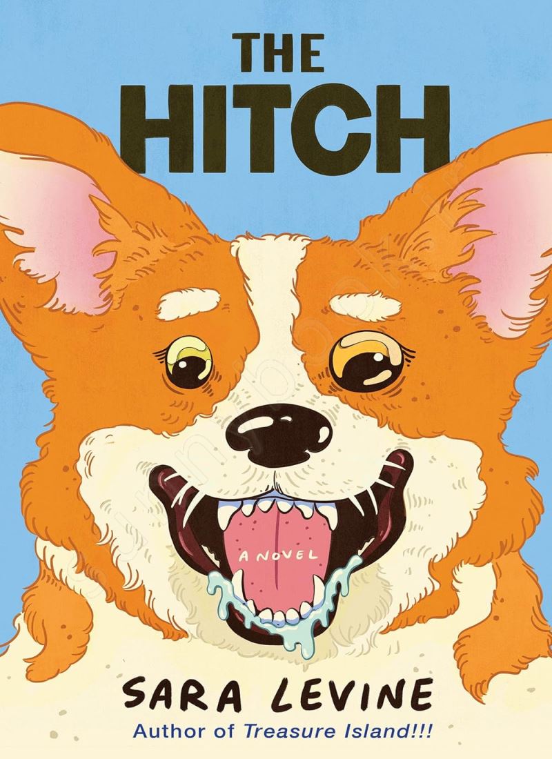 The Hitch main 1 1