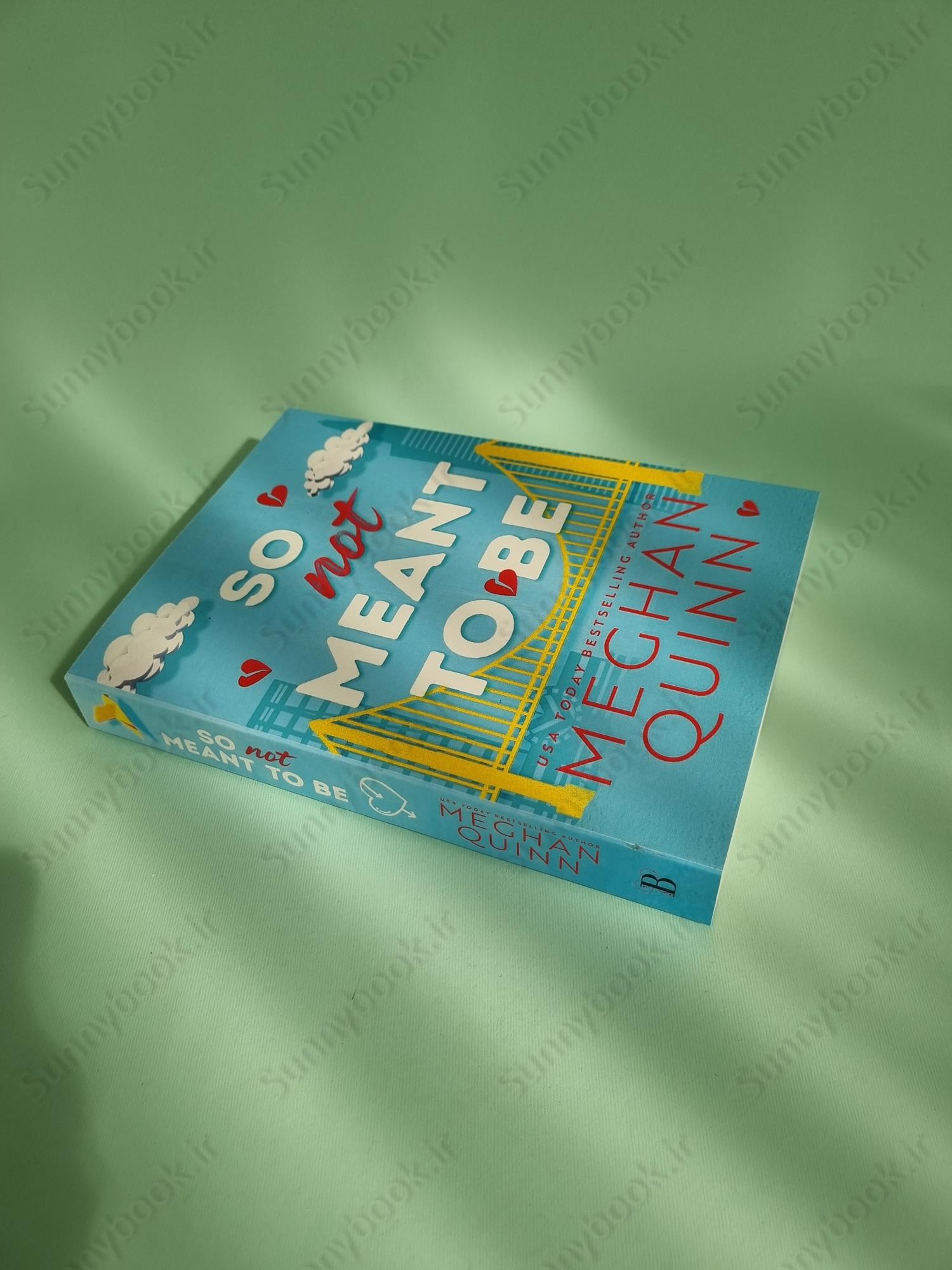 So Not Meant to Be (Cane Brothers, 2) main 1 3