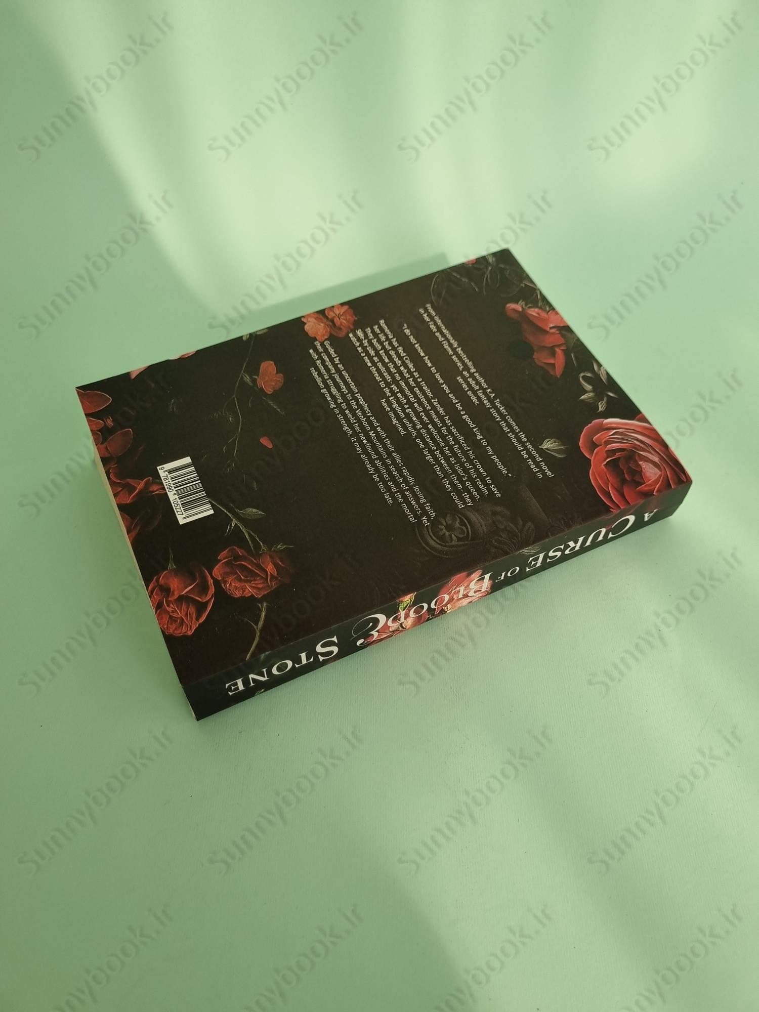 A Curse of Blood & Stone (Fate & Flame 2) main 1 5