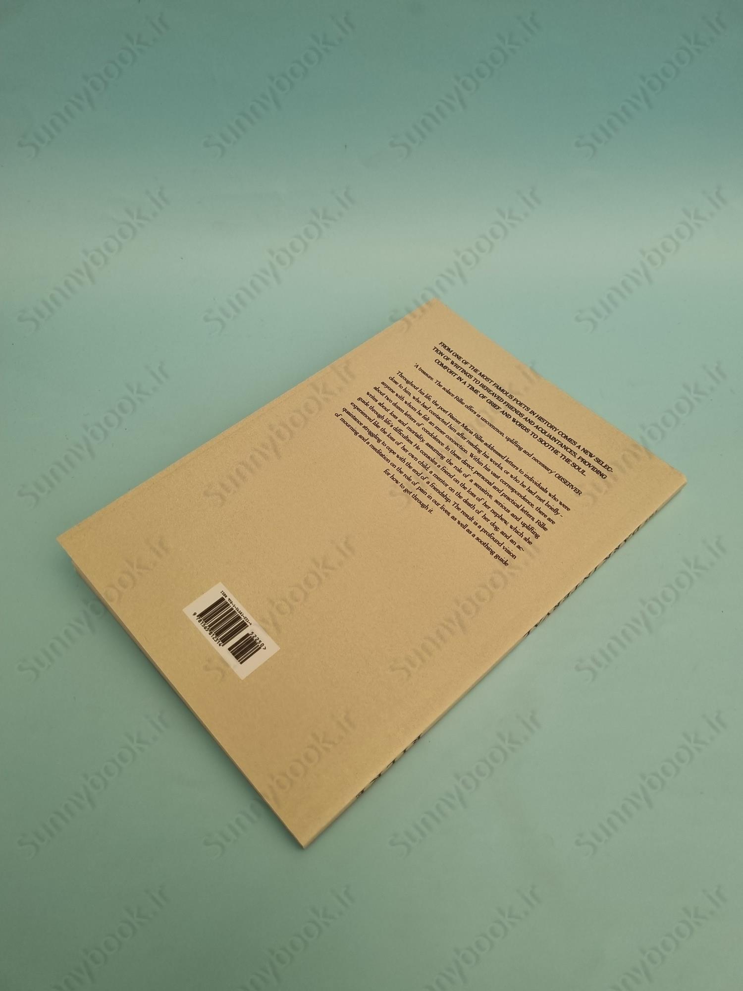 The Dark Interval: Letters on Loss, Grief, and Transformation main 1 5