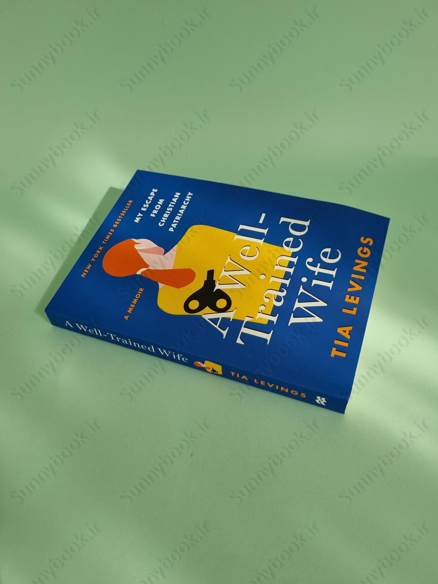 A Well-Trained Wife main 1 3