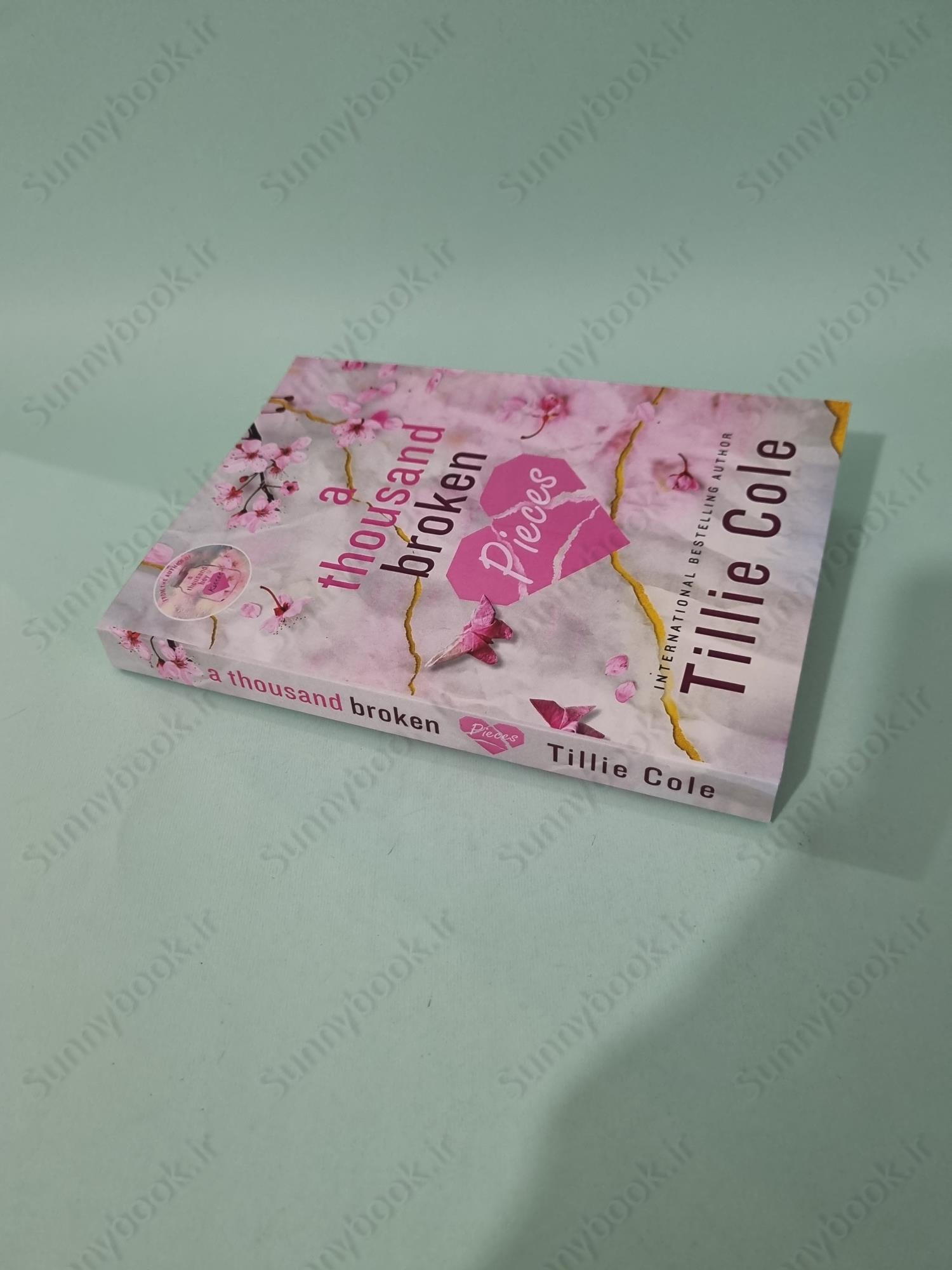 A Thousand Broken Pieces main 1 3