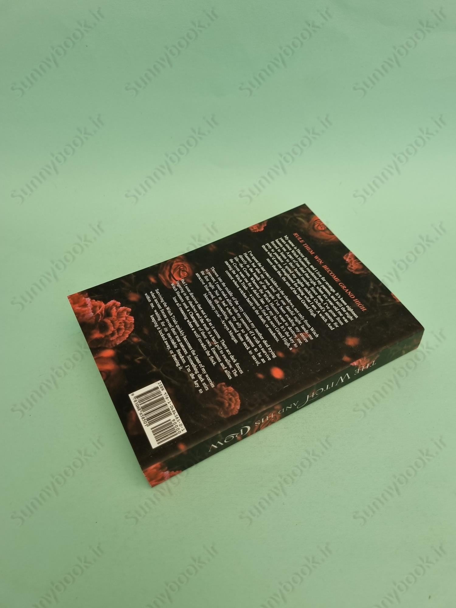 The Witch and His Crow main 1 5