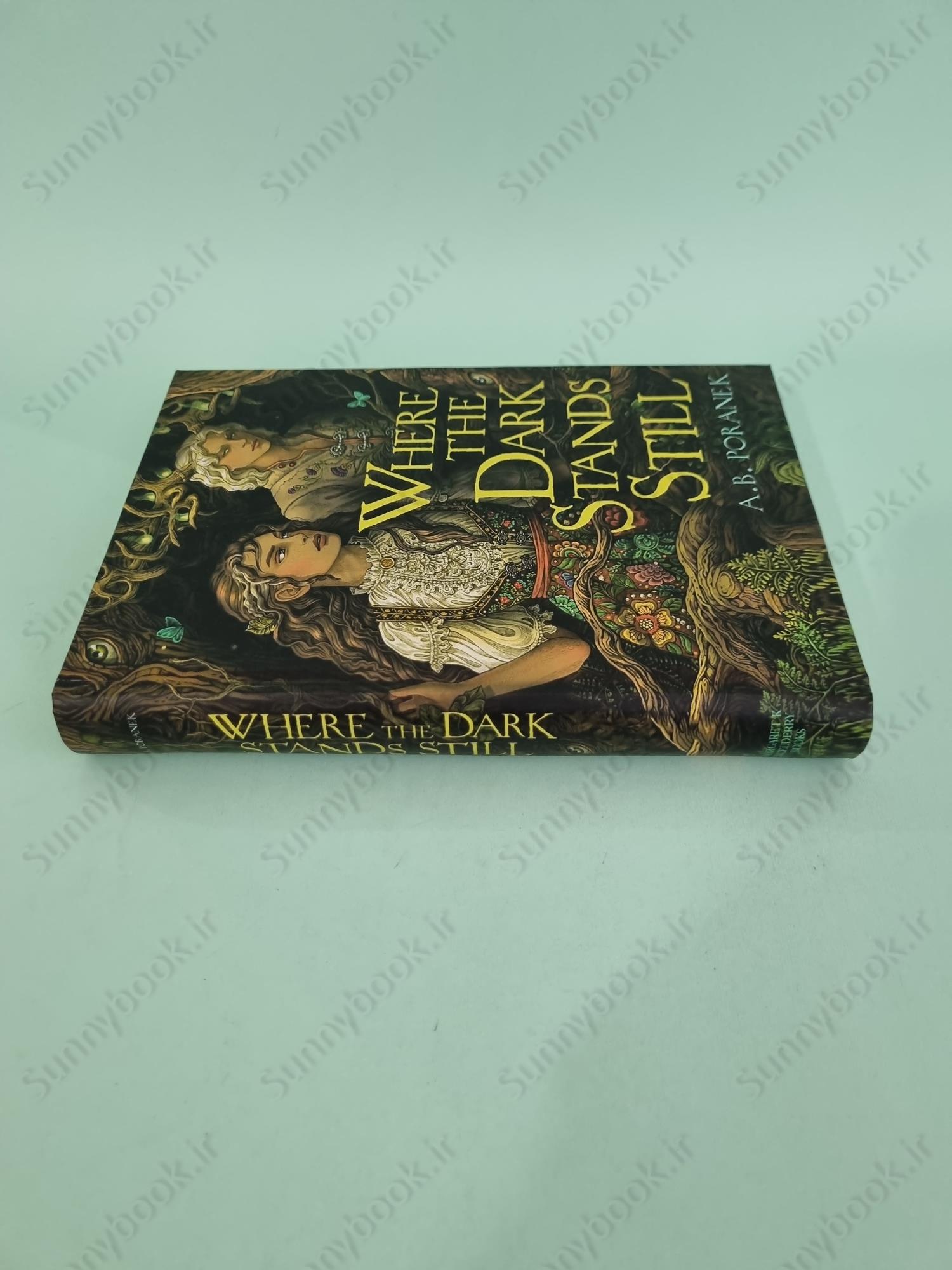 Where the Dark Stands Still main 1 4