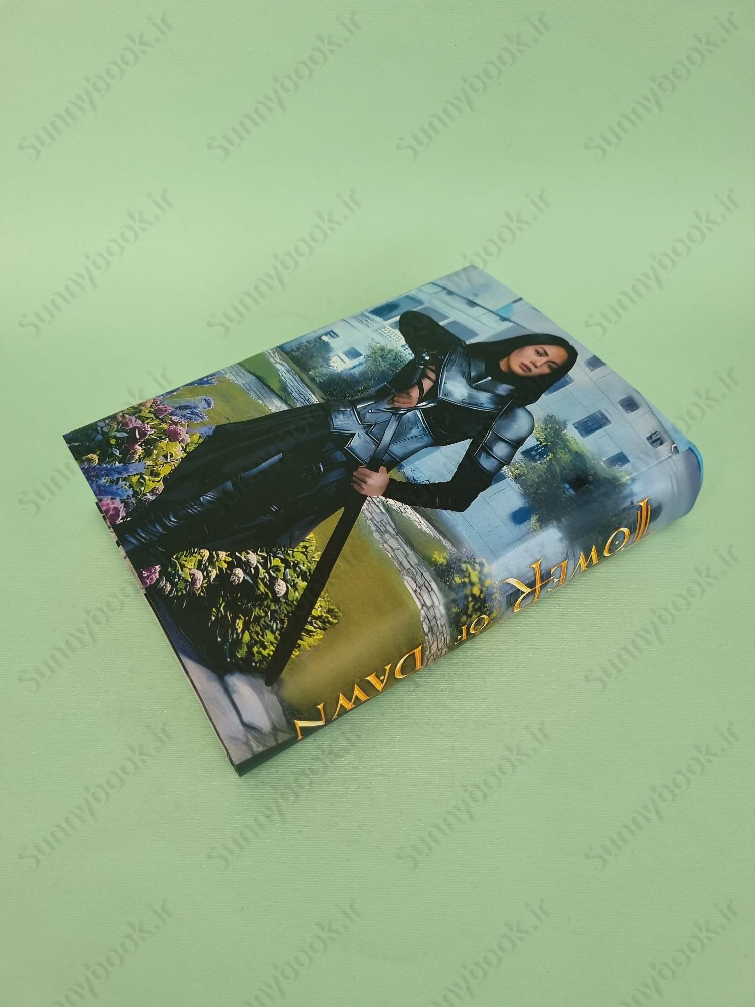 Tower of Dawn (Throne of Glass, 6) main 1 4