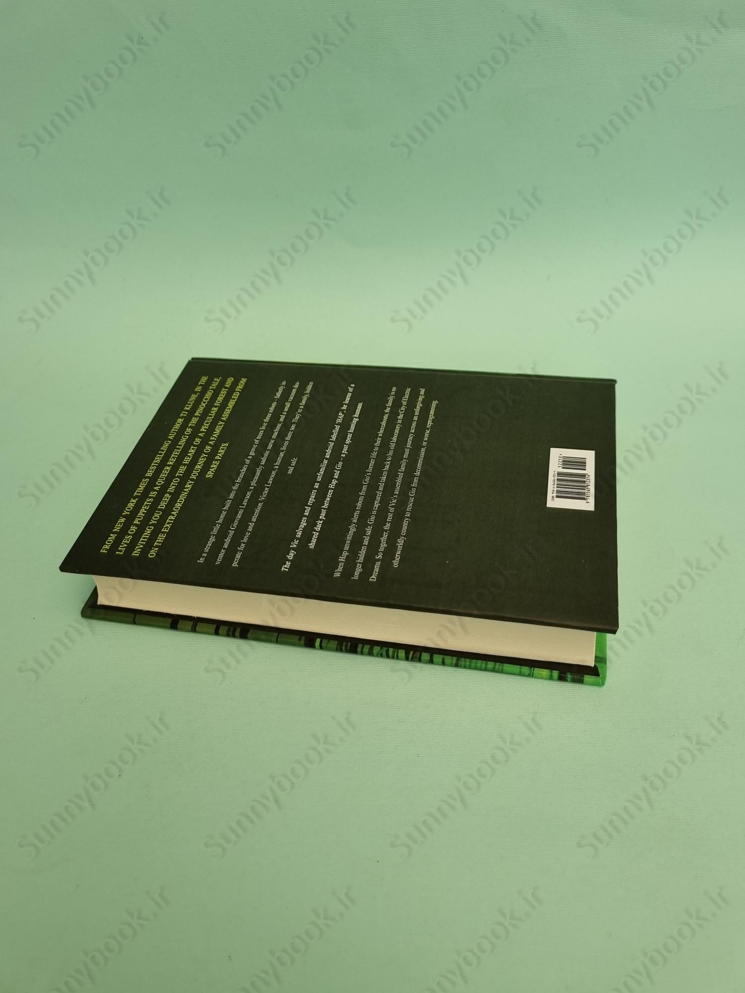 In the Lives of Puppets main 1 6