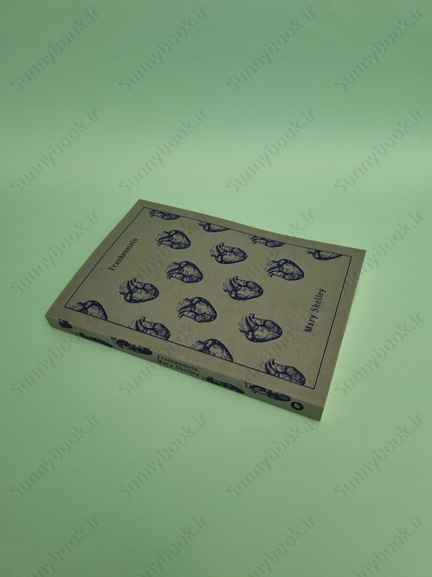 Frankenstein main 1 3