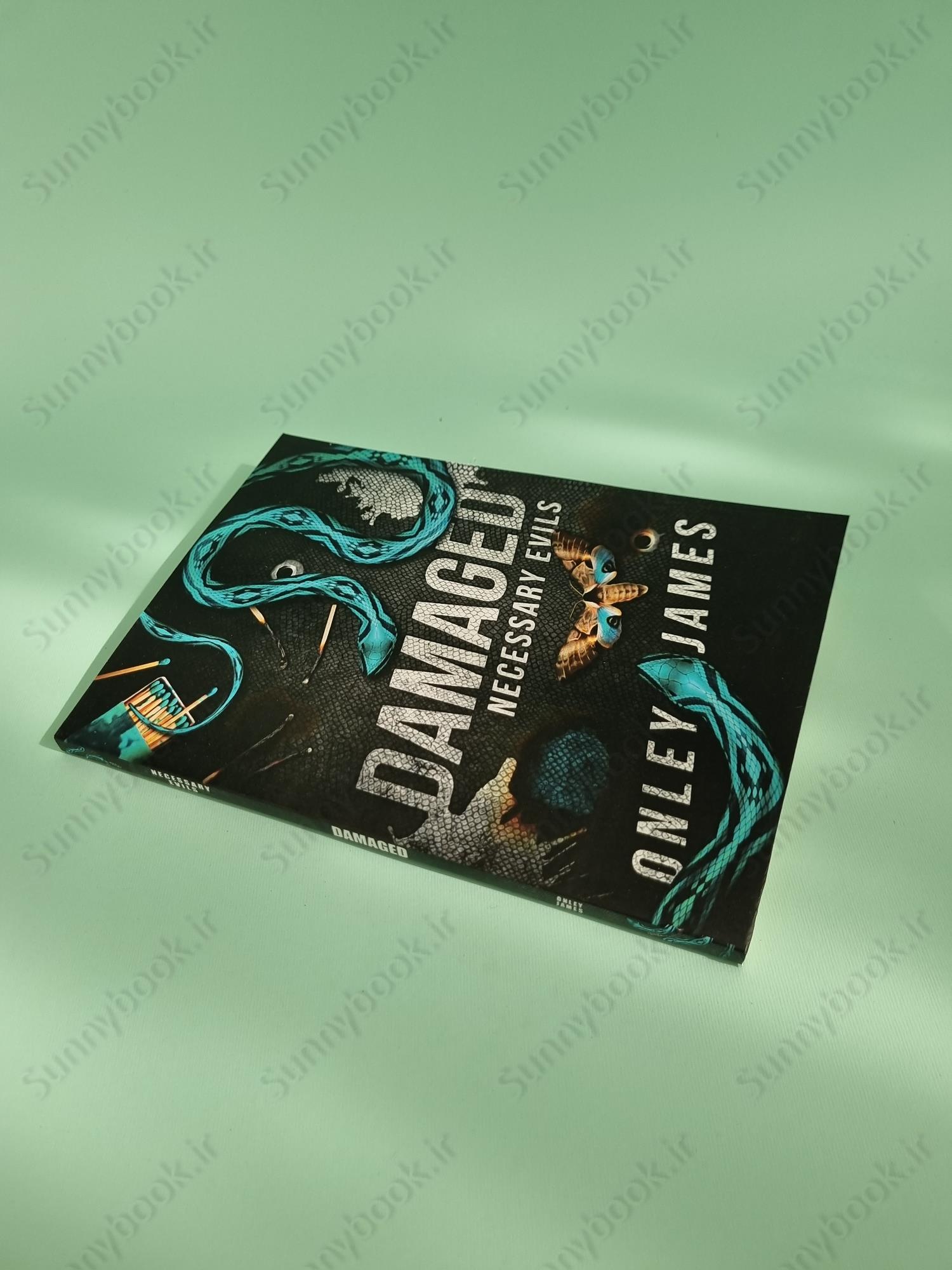 Damaged (Necessary Evils 3.5) main 1 3