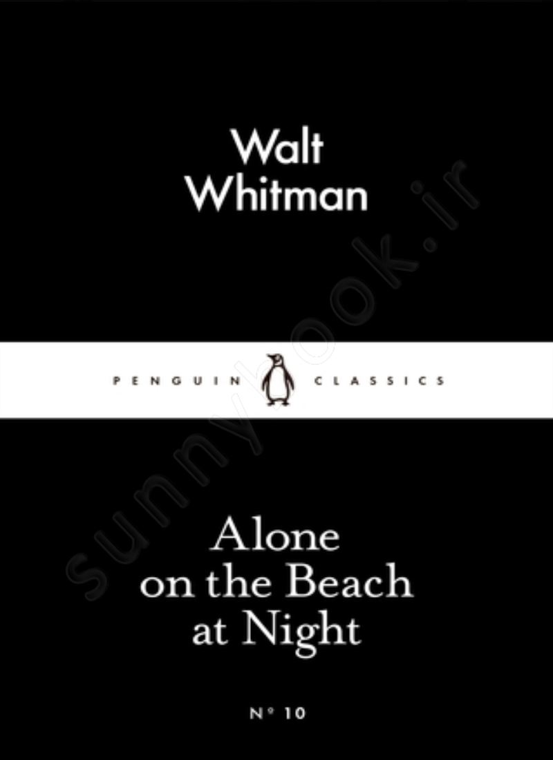 Alone on the Beach at Night main 1 1