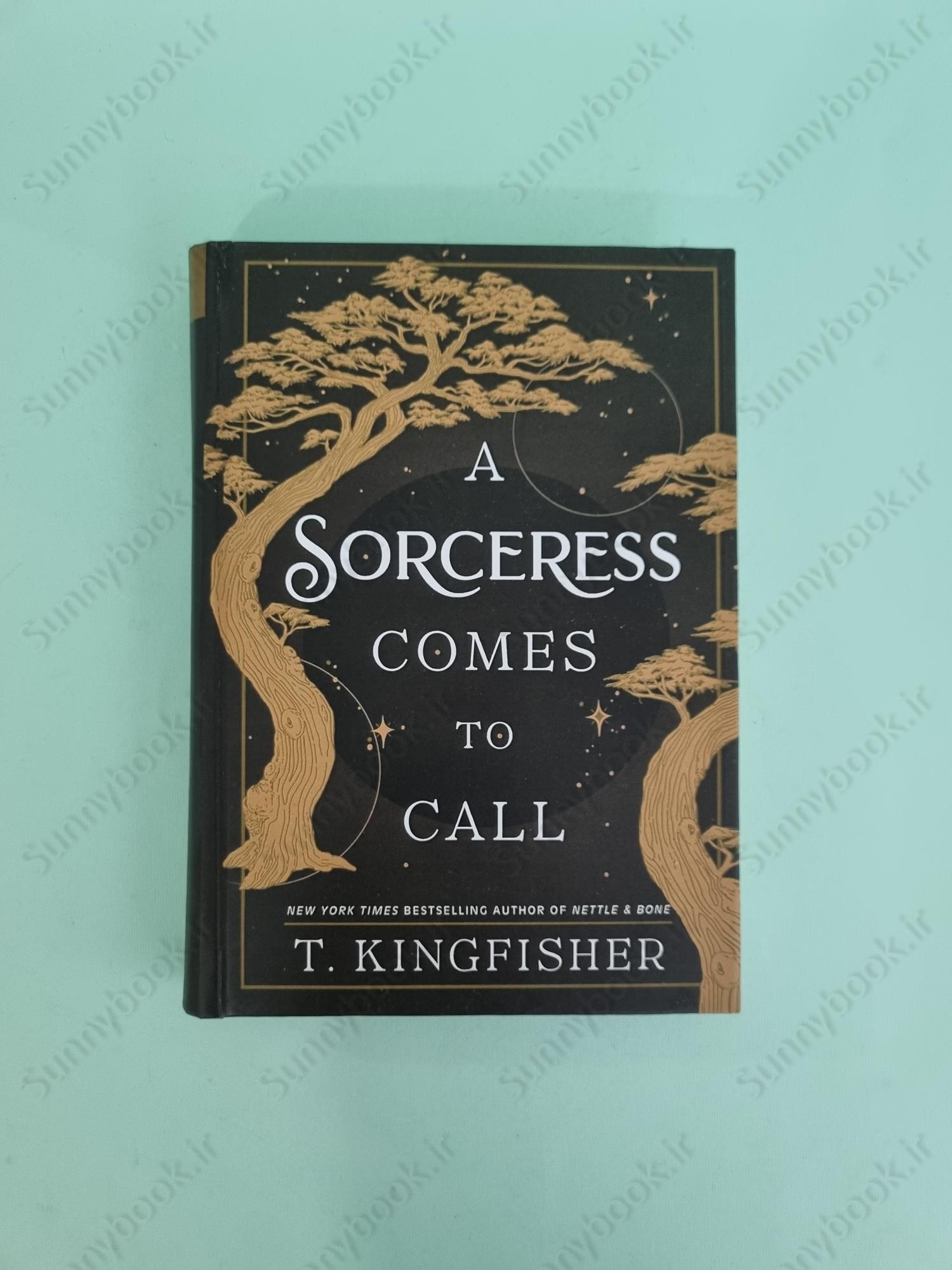 A Sorceress Comes to Call main 1 2