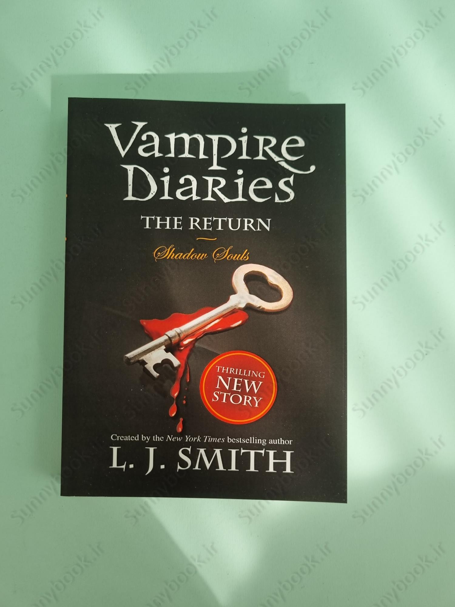 The Vampire Diaries The Return: Shadow Souls Book 6 main 1 2